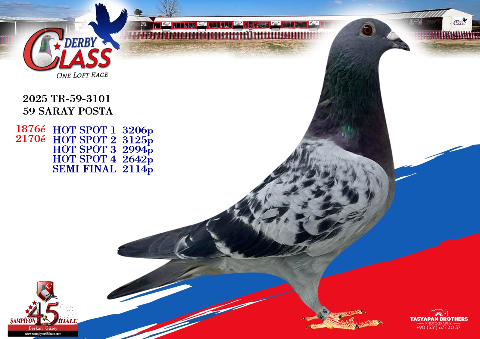 TR-59-3101 59 SARAY POSTA