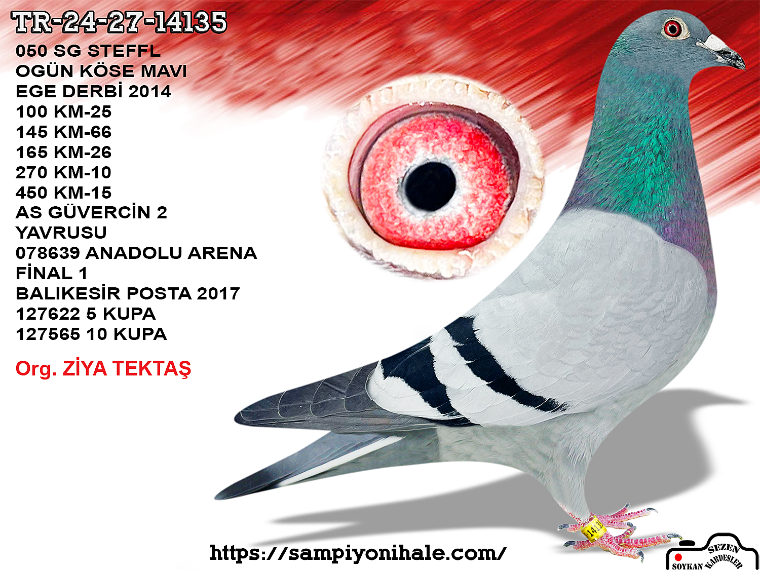 TR-24-27-14135 ÇİFT TARAFLI MEŞHUR 050 TORUN