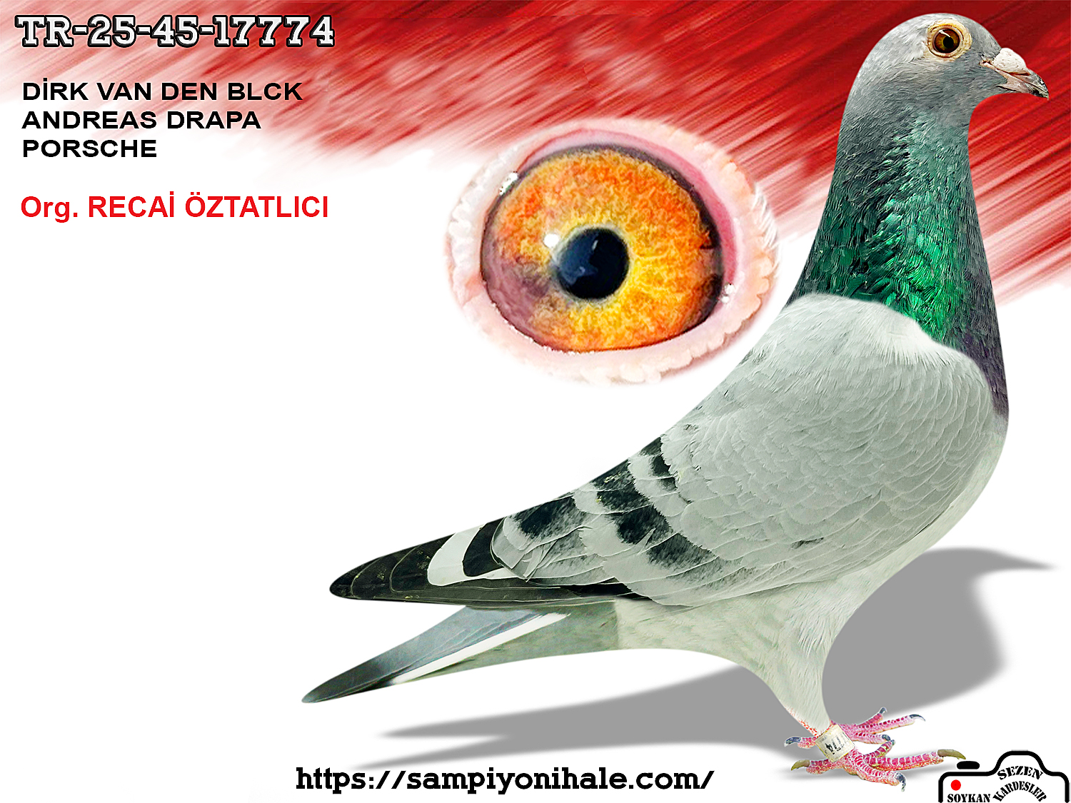 TR-25-45-17774 DİRK VAN DEN BULCK ANDREAS DRAPA PORSCHE 