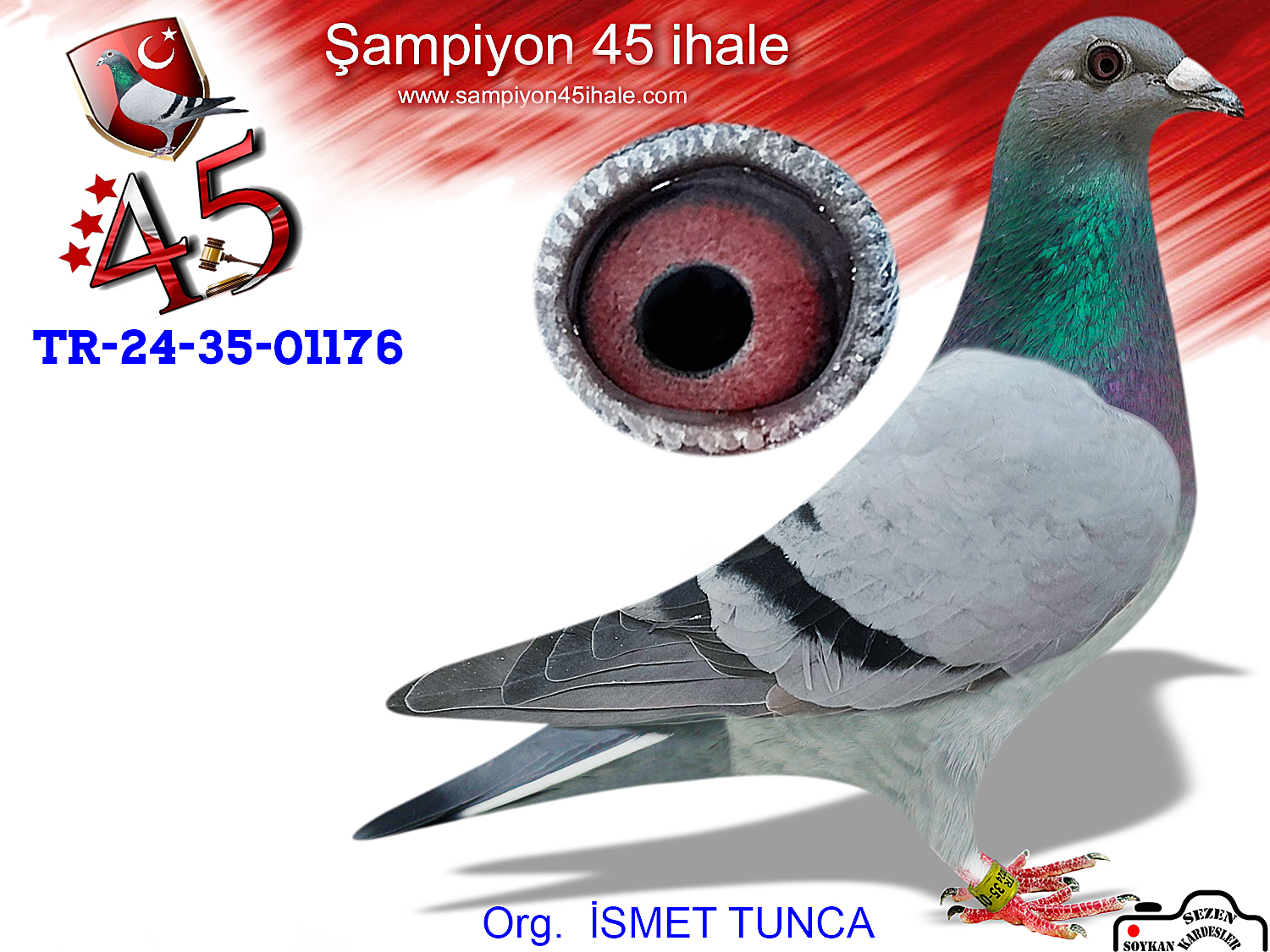 TR-24-35-01176 DİŞİ