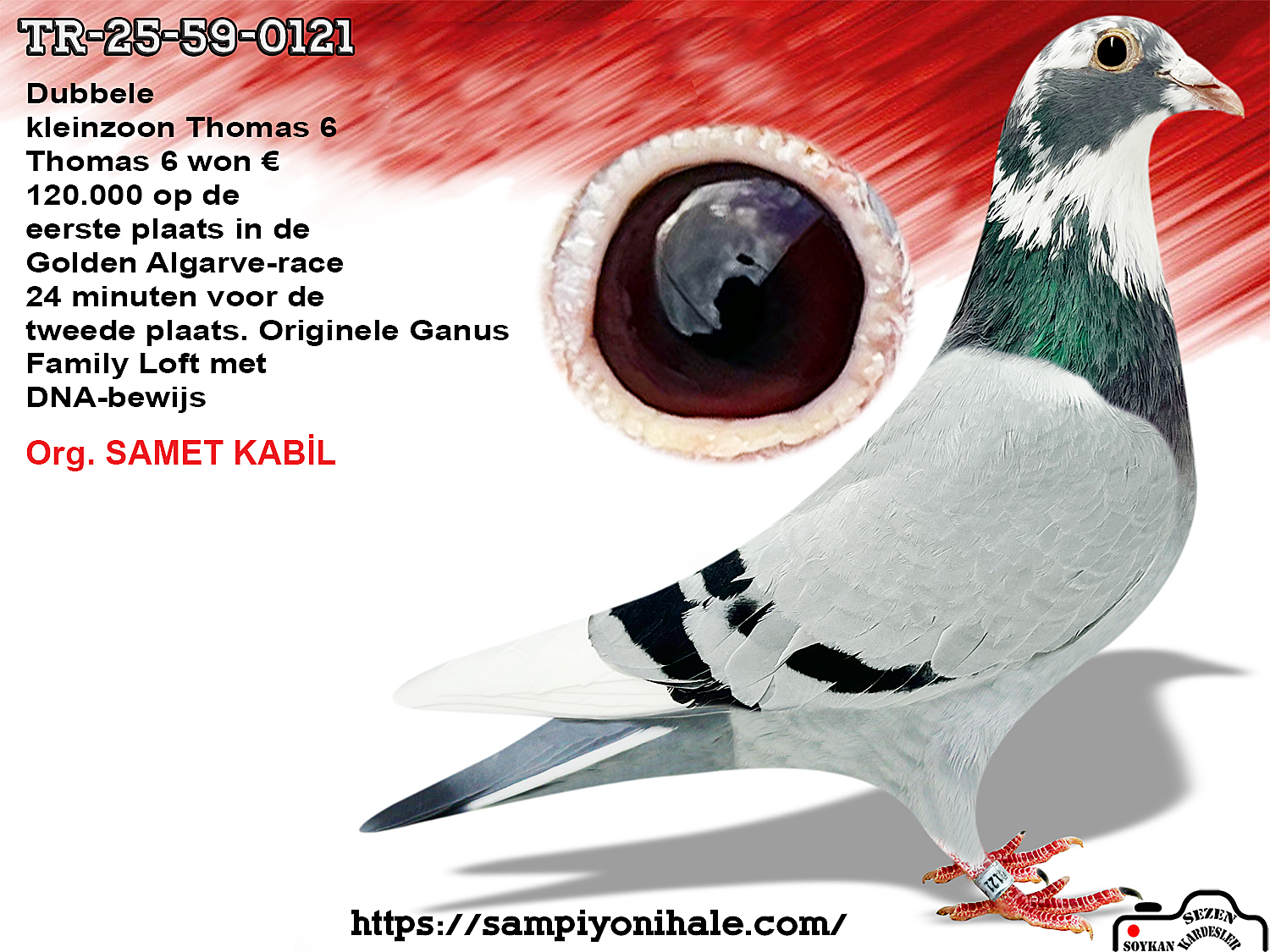 TR-25-59-0121 GANUS FAMİLY LOFT THOMAS 6 