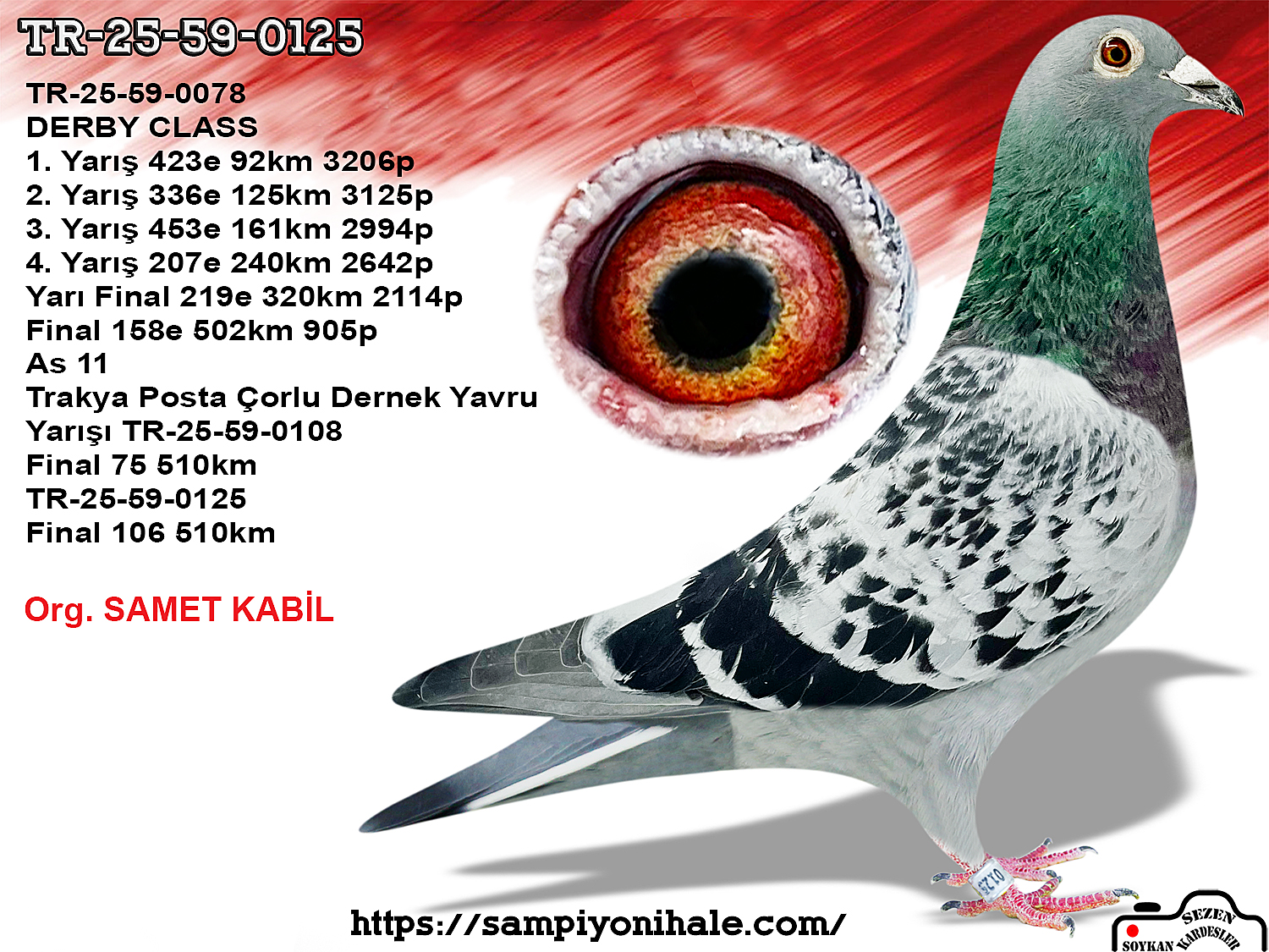 TR-25-59-0125 KİTTEL VAN DEN BULCK AFRİCE BEST BLOOD