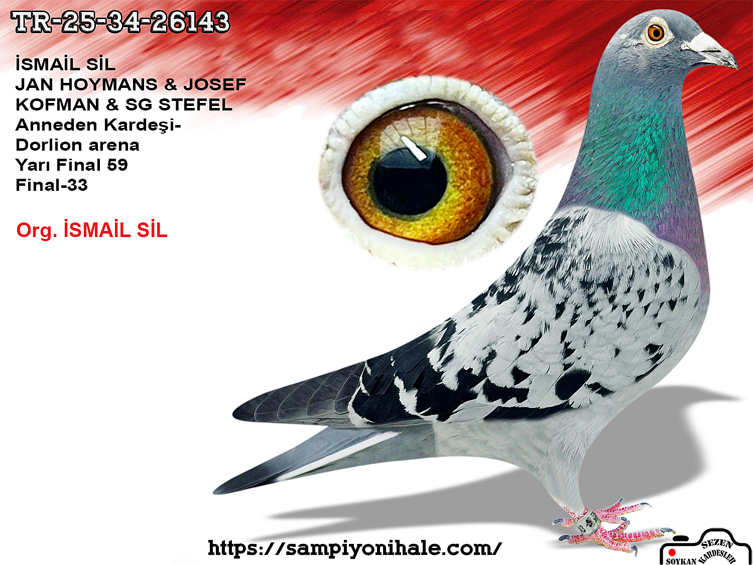 TR-25-34-26143 JAN HOOYMANS JOSEF KOPMAN SG STEFFL 