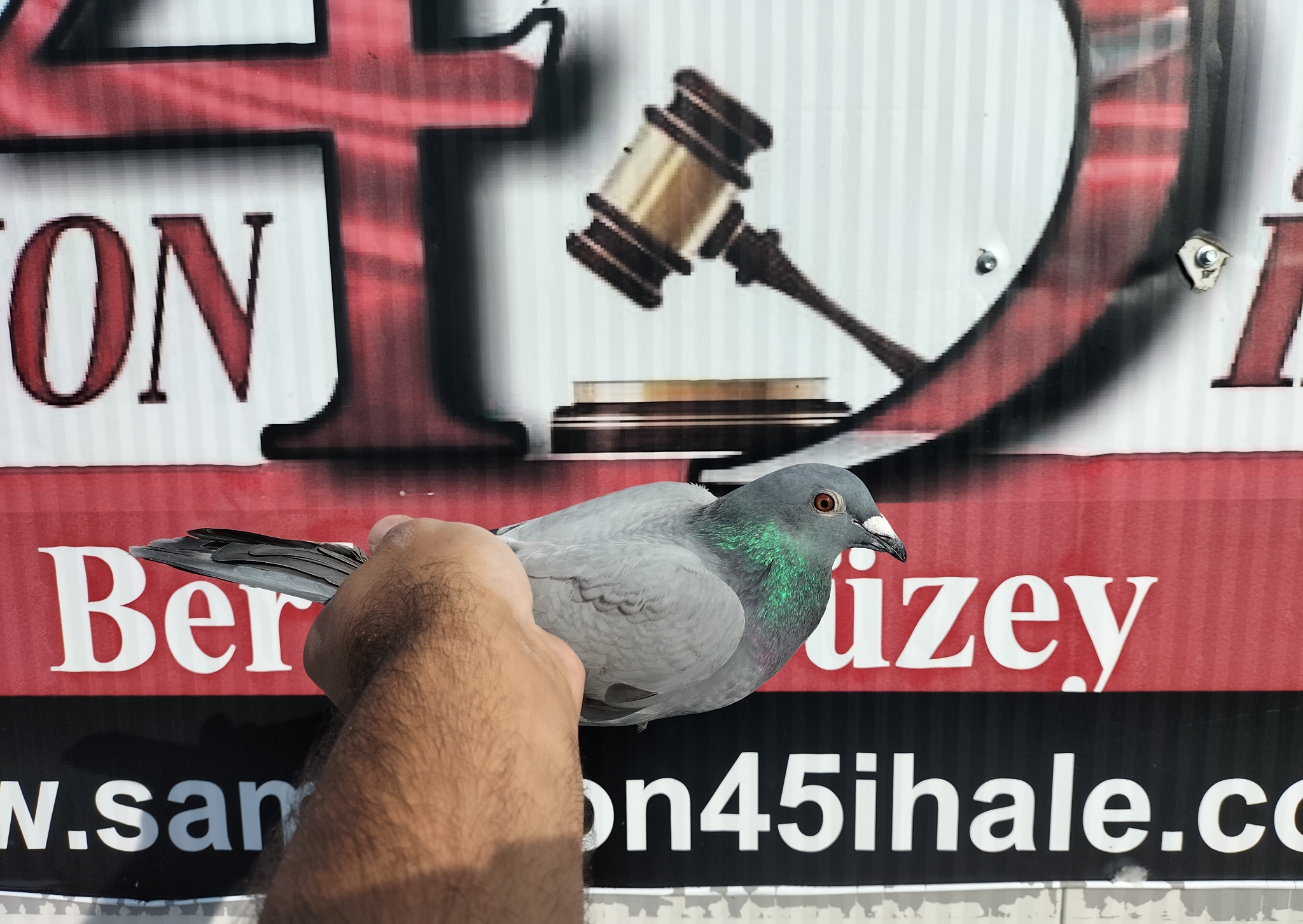 TR-24-35-01192 PETER VANDE MERVE VAN DYCK DİRK 