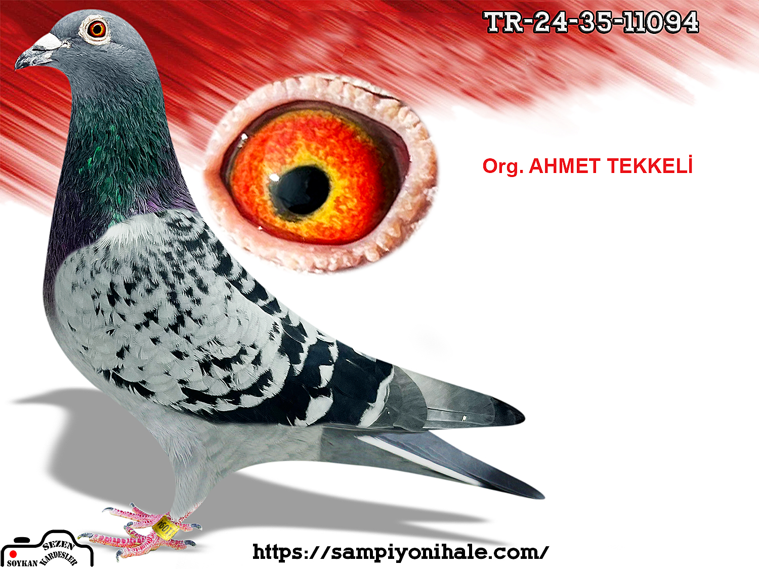 TR-24-35-11094 ORG AHMET TEKKELİ 