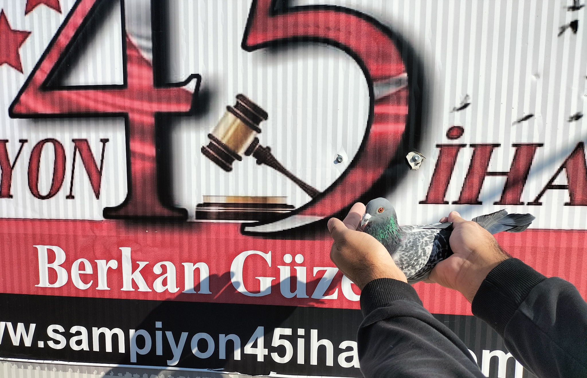 TR-25-63-04064 ORG MUSTAFA AYKURT 