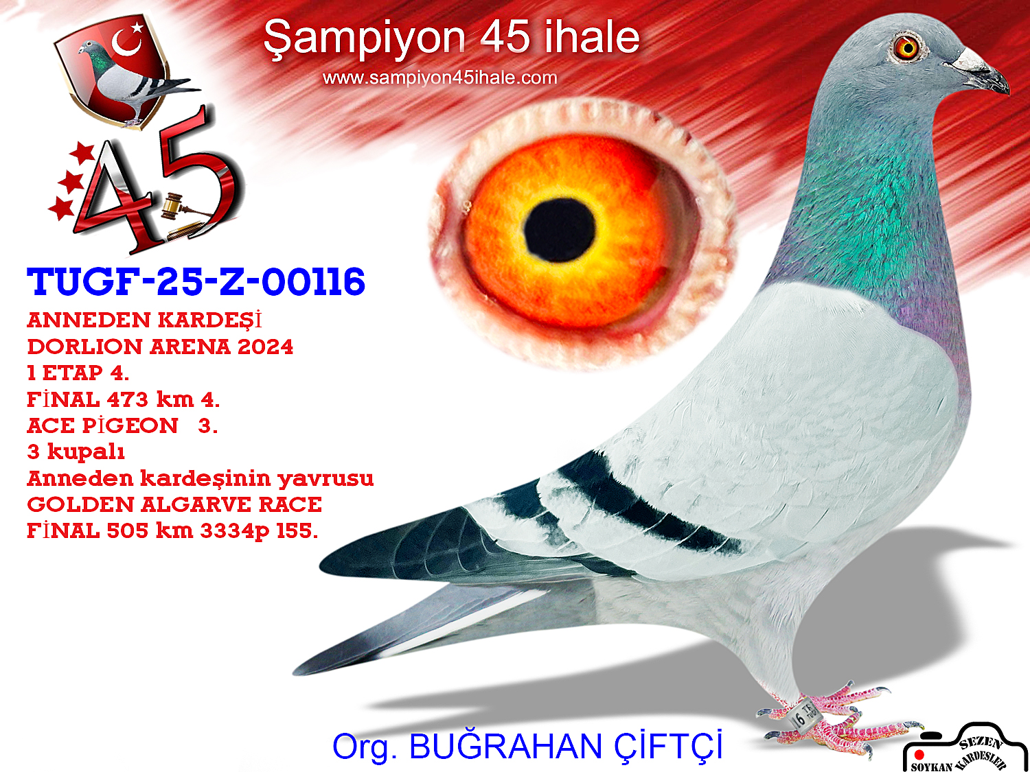 TUGF-25-Z-00116 SG STEFFL HARDY KRÜGER 