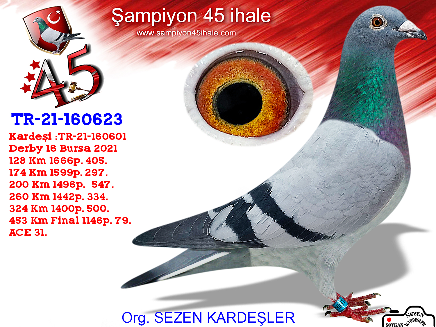 TR-21-160623 DİŞİ