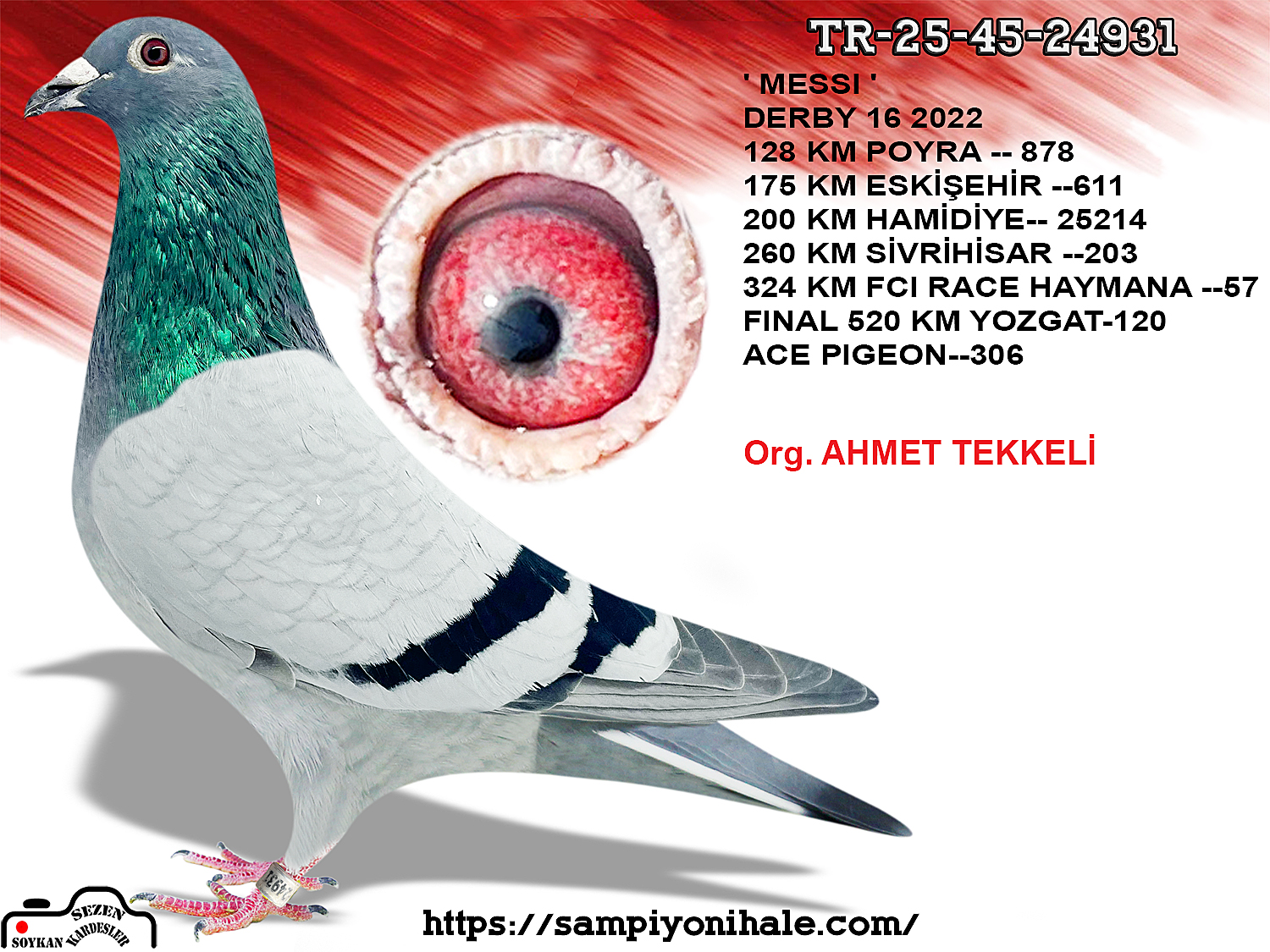 TR-25-45-24931 ORG AHMET TEKKELİ ZDENEK PAVLİK 