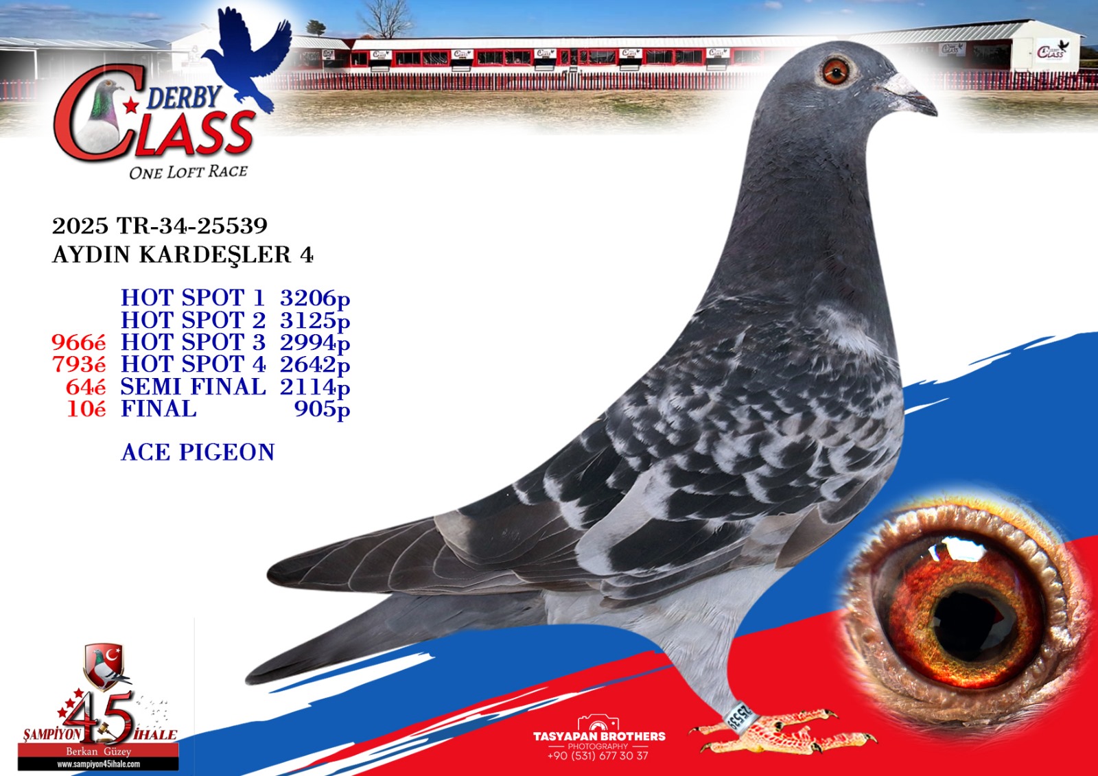 TR-34-25539 DİŞİ