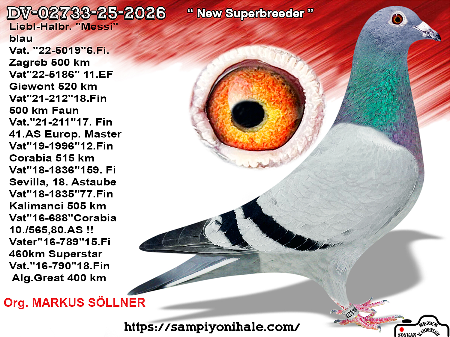 DV-02733-25-2026 MARKUS SÖLLNER 
