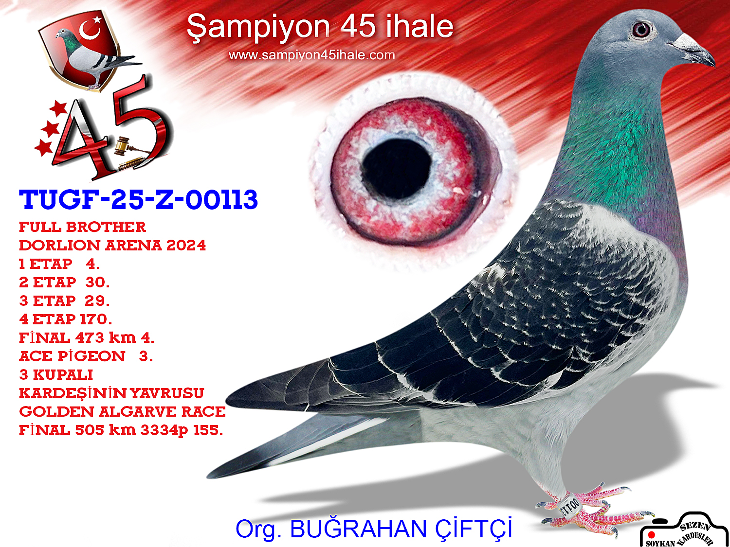 TUGF-Z-00113 SG STEFFL HARDY KRÜGER KOOPMAN 