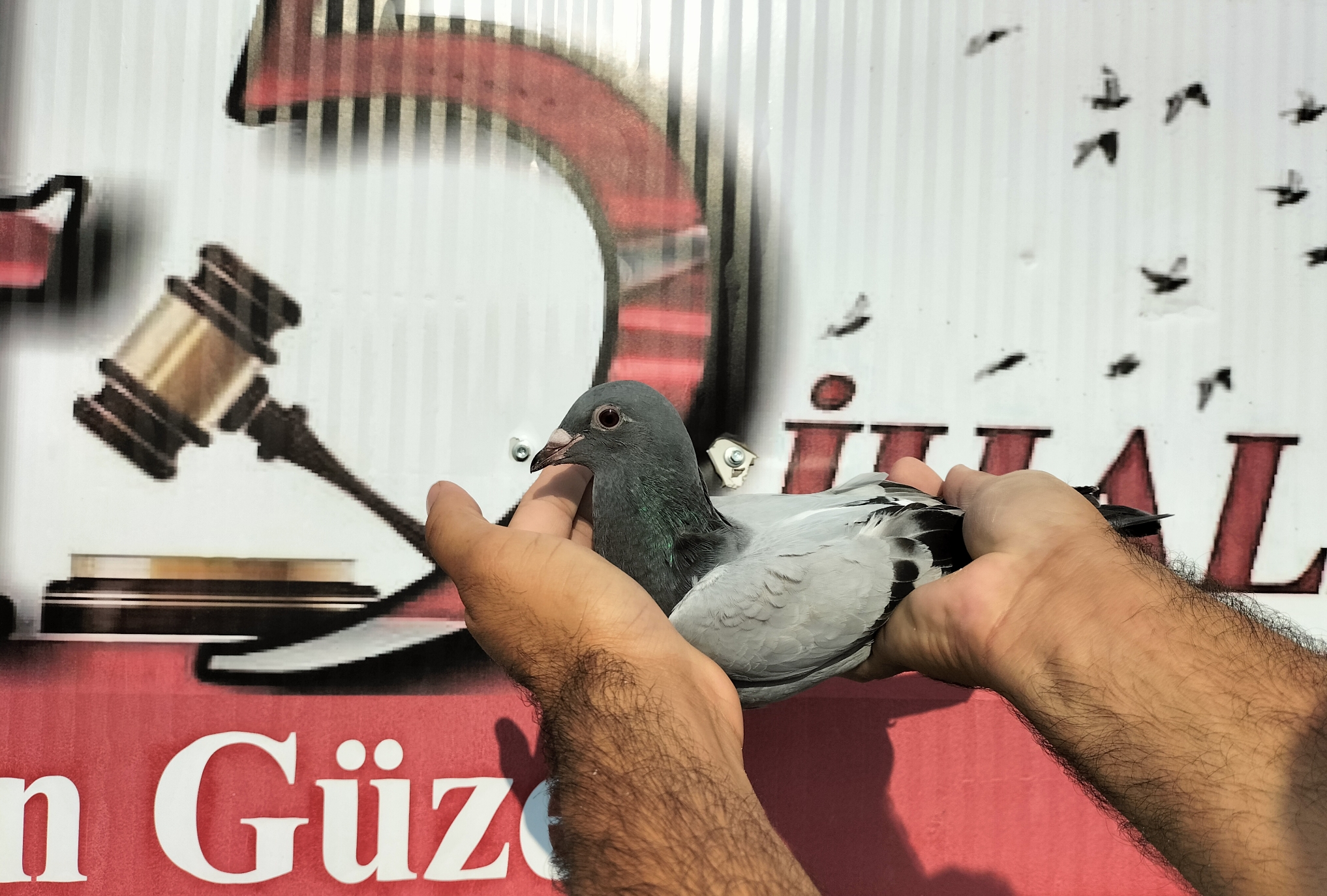 TR-10-05387 NECMİ ÇAKAR 