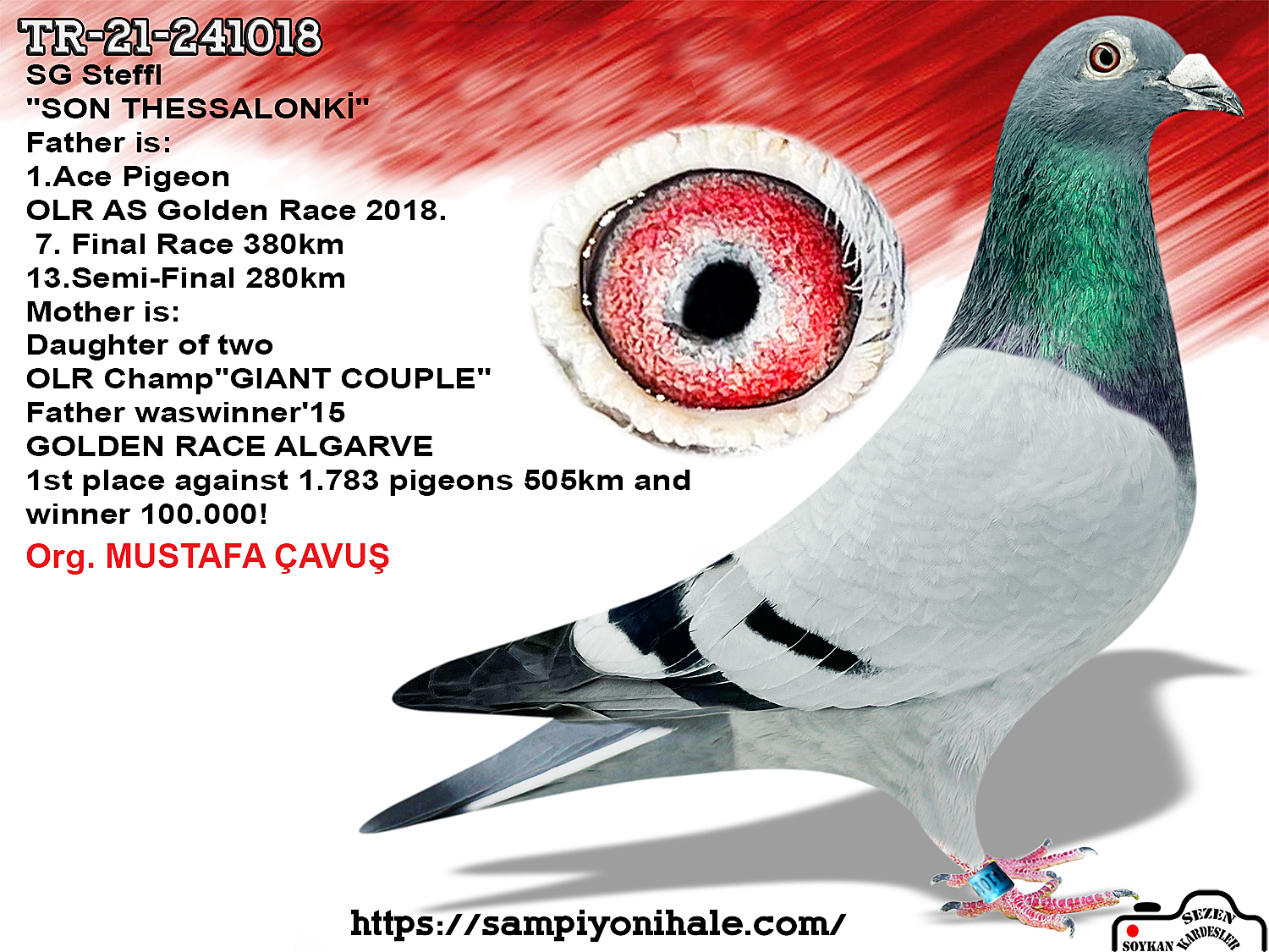 TR-21-241018 SG STEFFL KİNG OF THESSALONKİ