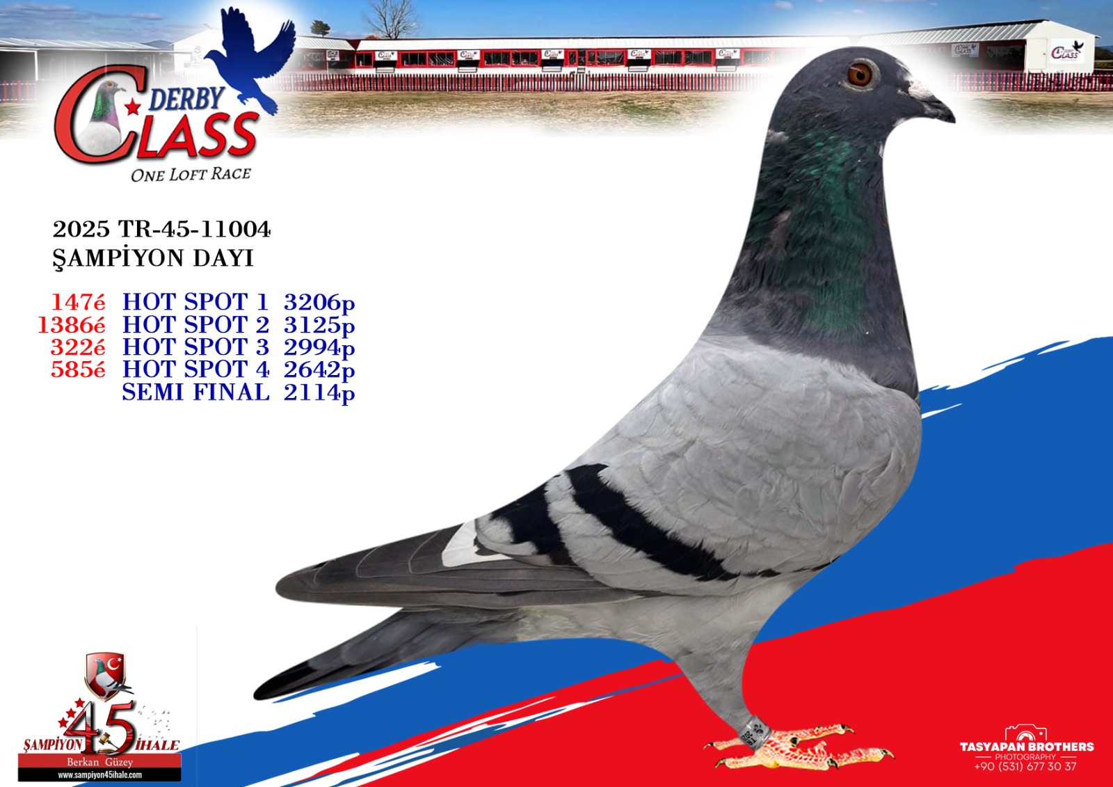 TR-45-11004 ŞAMPİYON DAYI