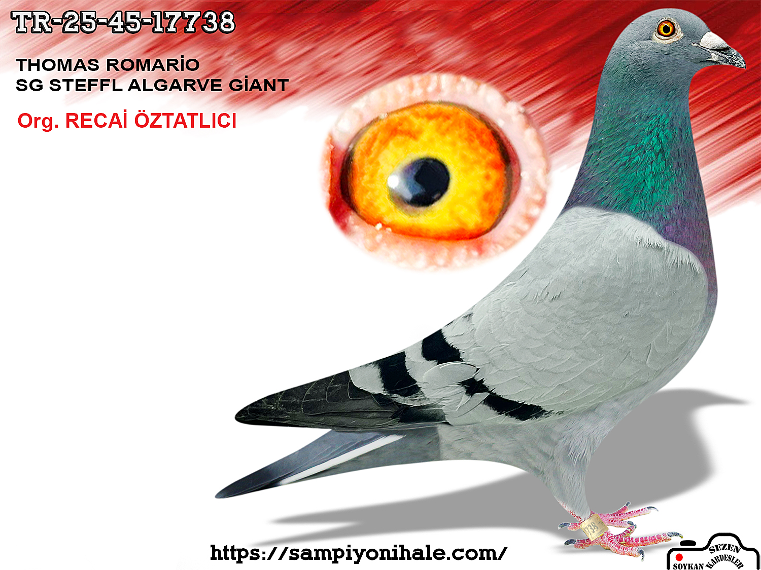 TR-25-45-17738 THOMAS ROMARİO HURRİCAN 51 