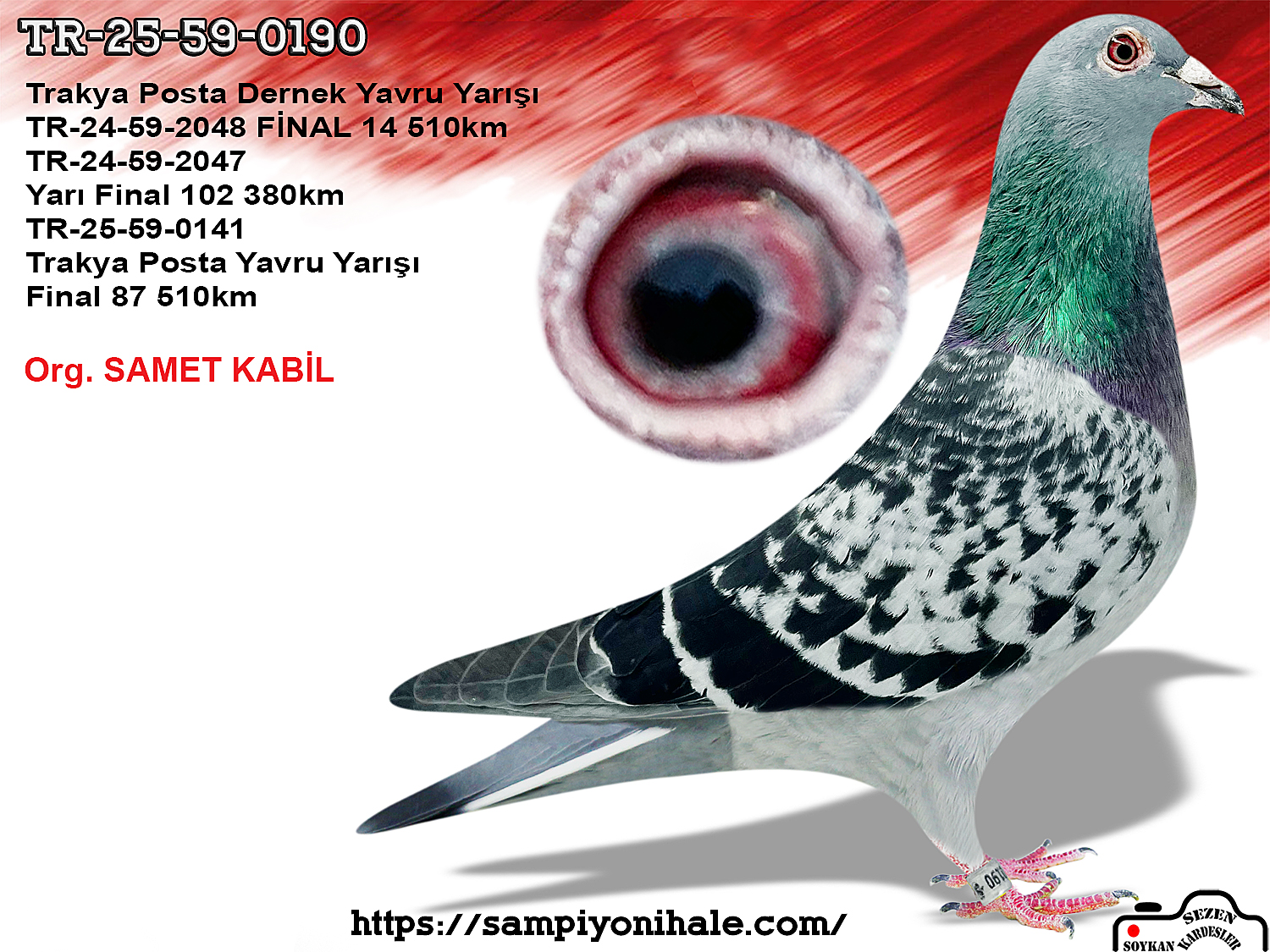 TR-25-59-0190 HENRİK BRİNKMANN KİNG PORSCHE 