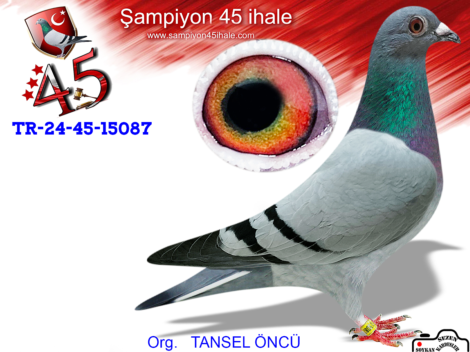 TR-24-45-15087 DİŞİ