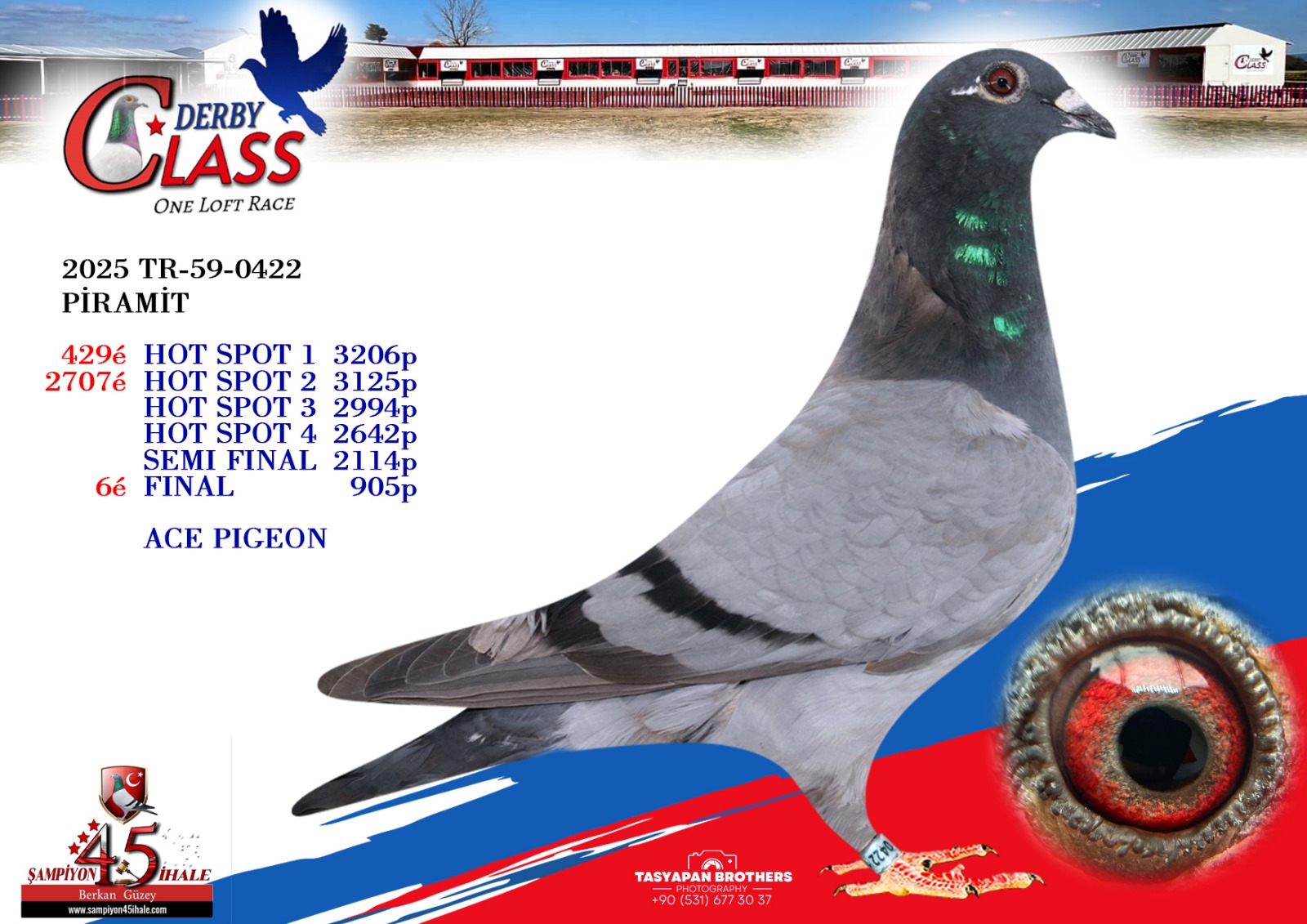 TR-59-0422 DİŞİ 
