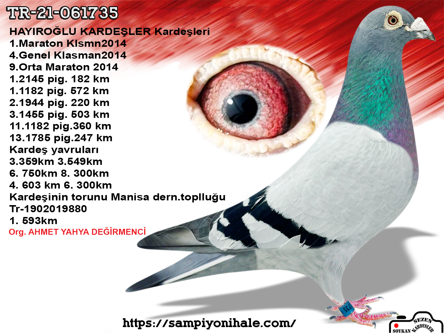 TR-21-061735 KEES BASUA KANNİBAAL