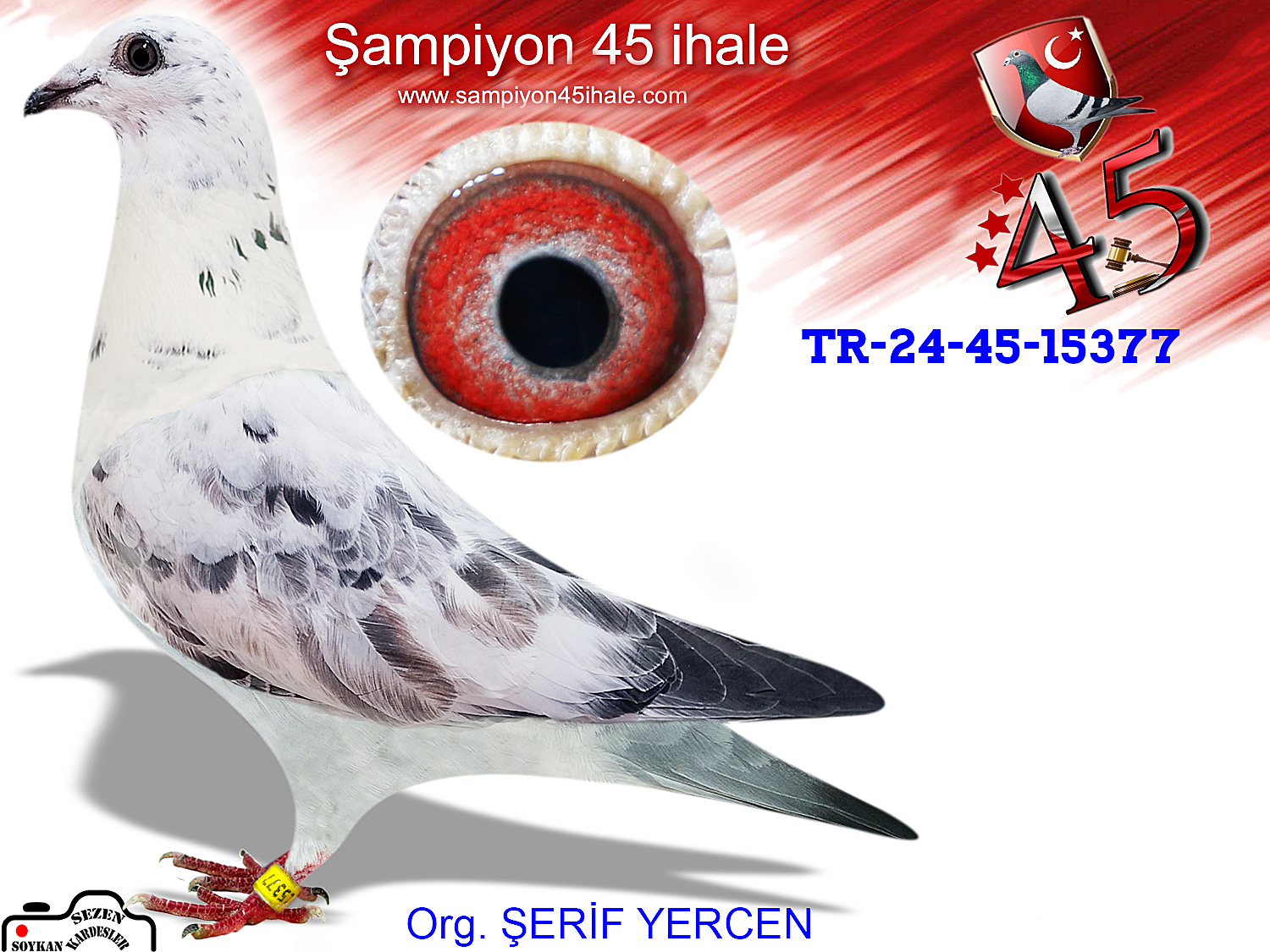 TR-24-45-15377 DİŞİ