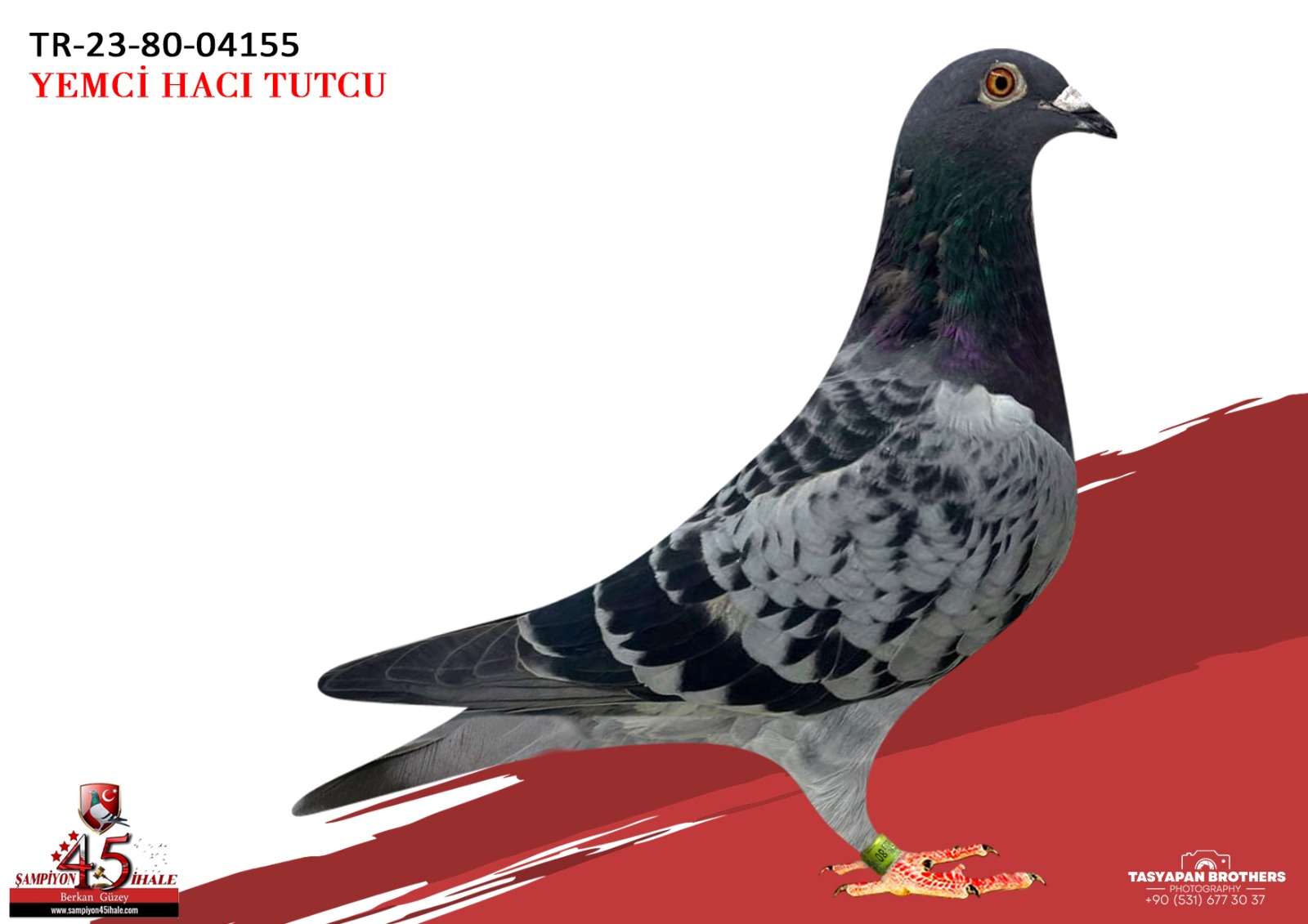 TR-23-80-04155 TERMİNATÖR GÜVEN BAKIŞLI KIVIRCIK