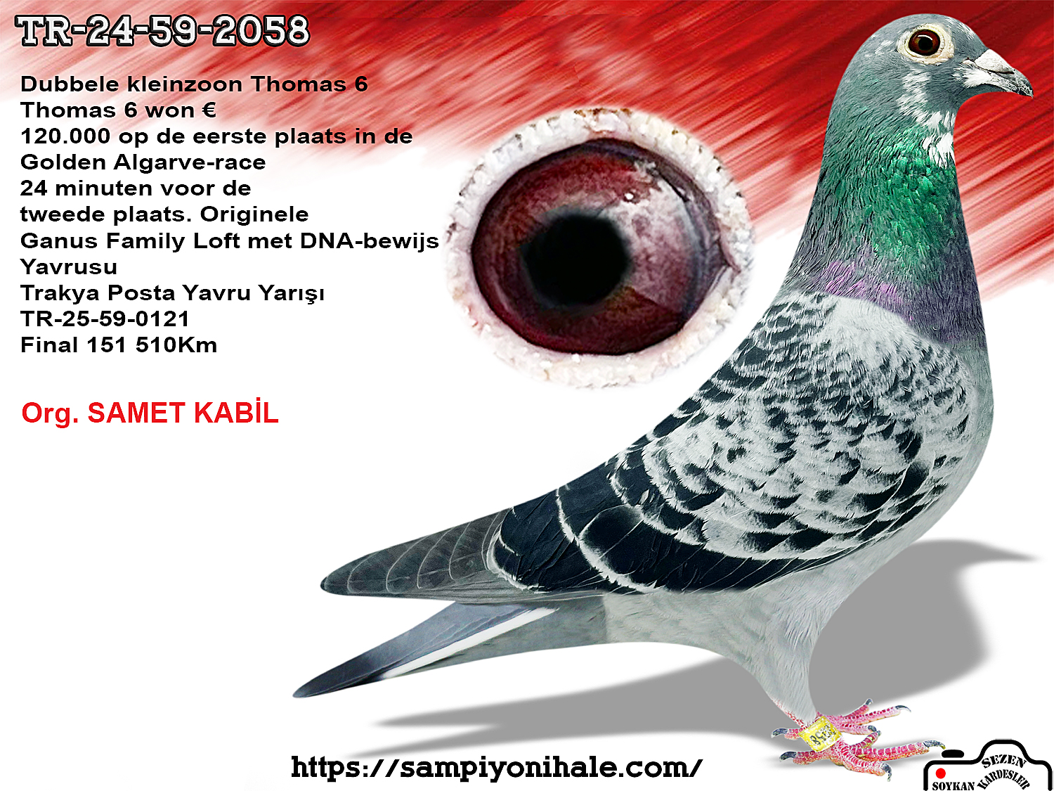 TR-24-59-2058 THOMAS 6 KING PORSCHE 