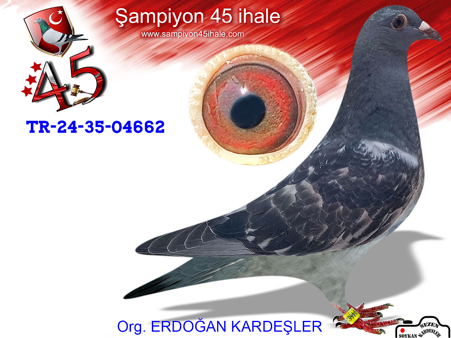 TR-24-35-04662 DİŞİ