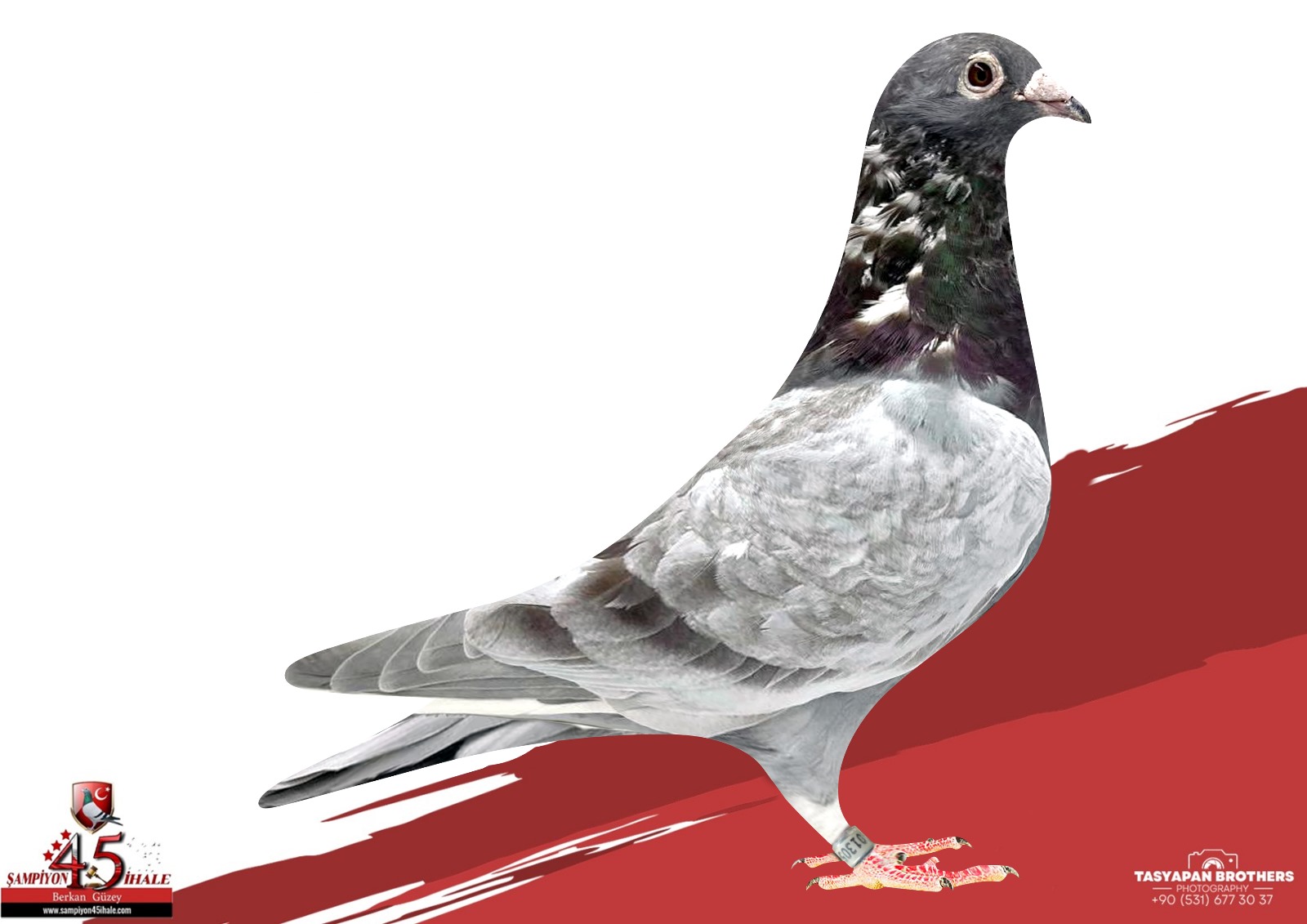 TR-20-013054 LEEN BOERS ORG GÜVEN BAKIŞLI 