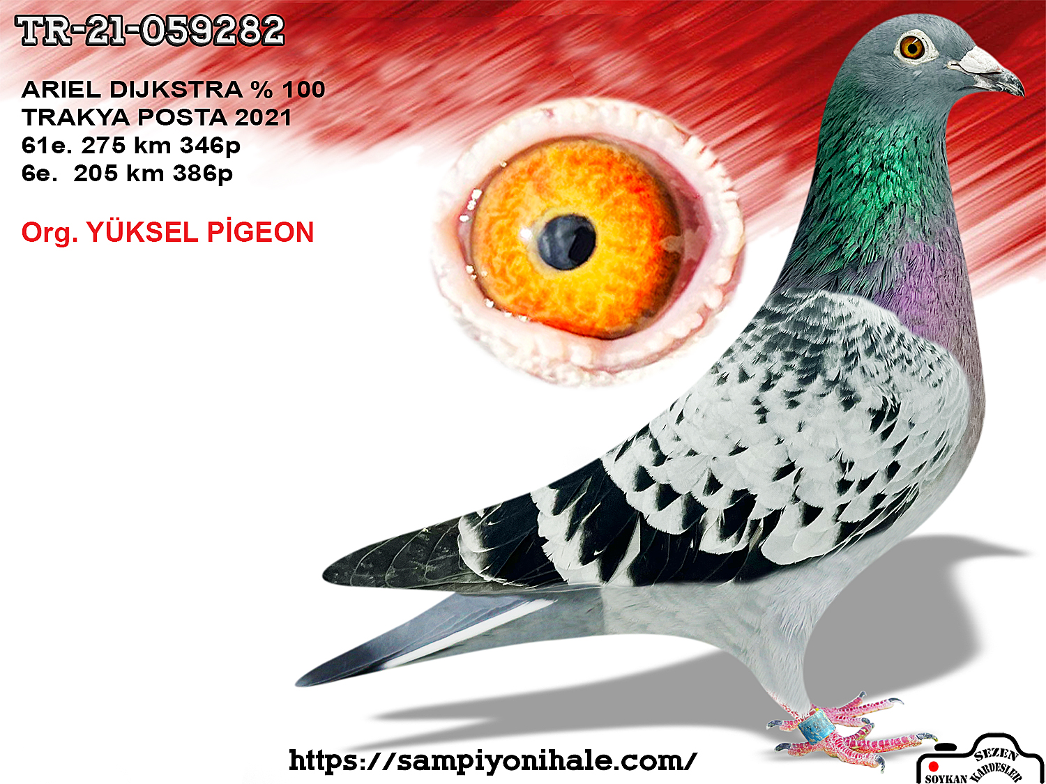 TR-21-059282 ARİEL DİJEKSTRA % 100