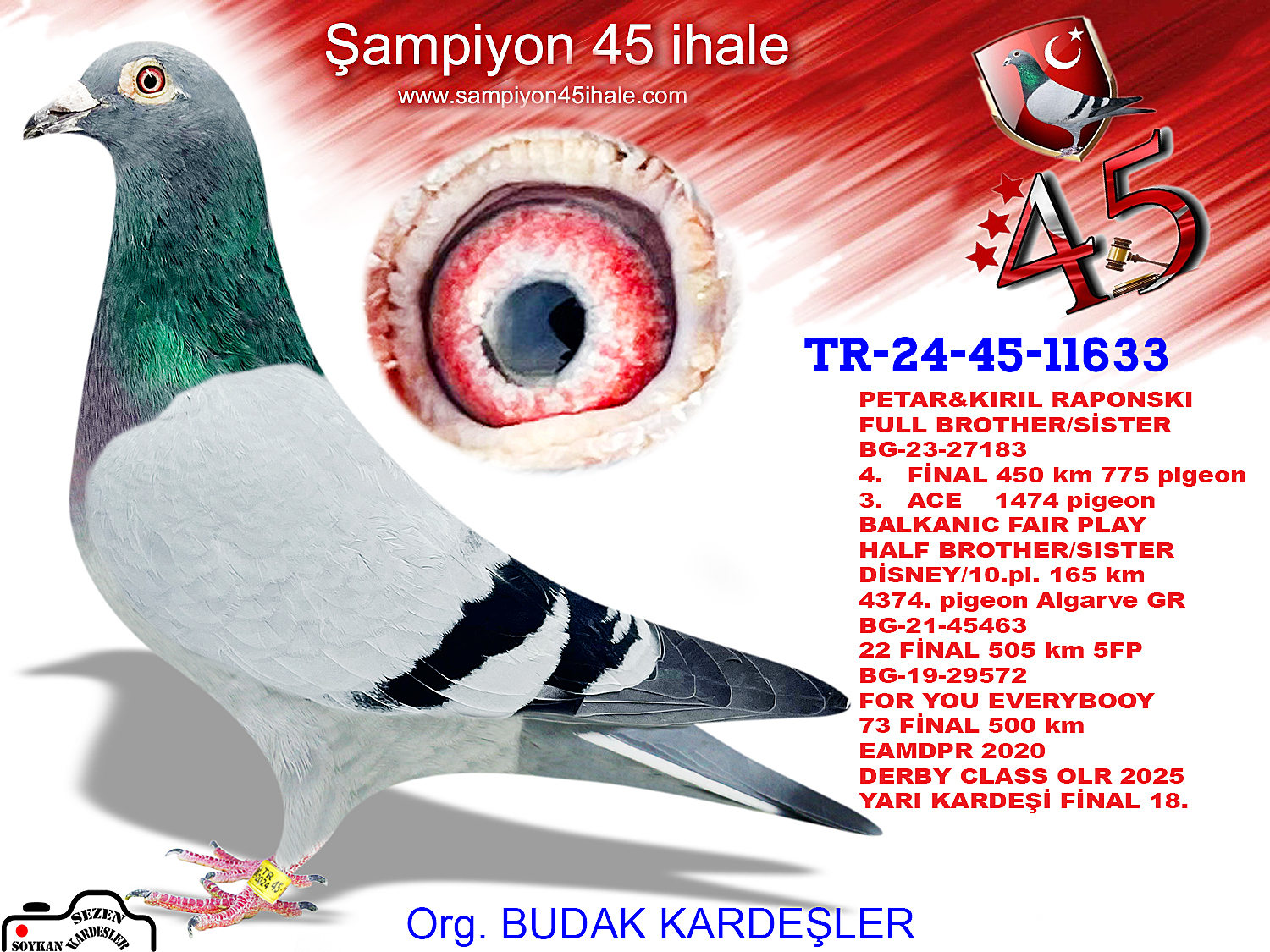 TR-24-45-11633 PETAR&KIRIL RAPONSKI BLACK NIGHT