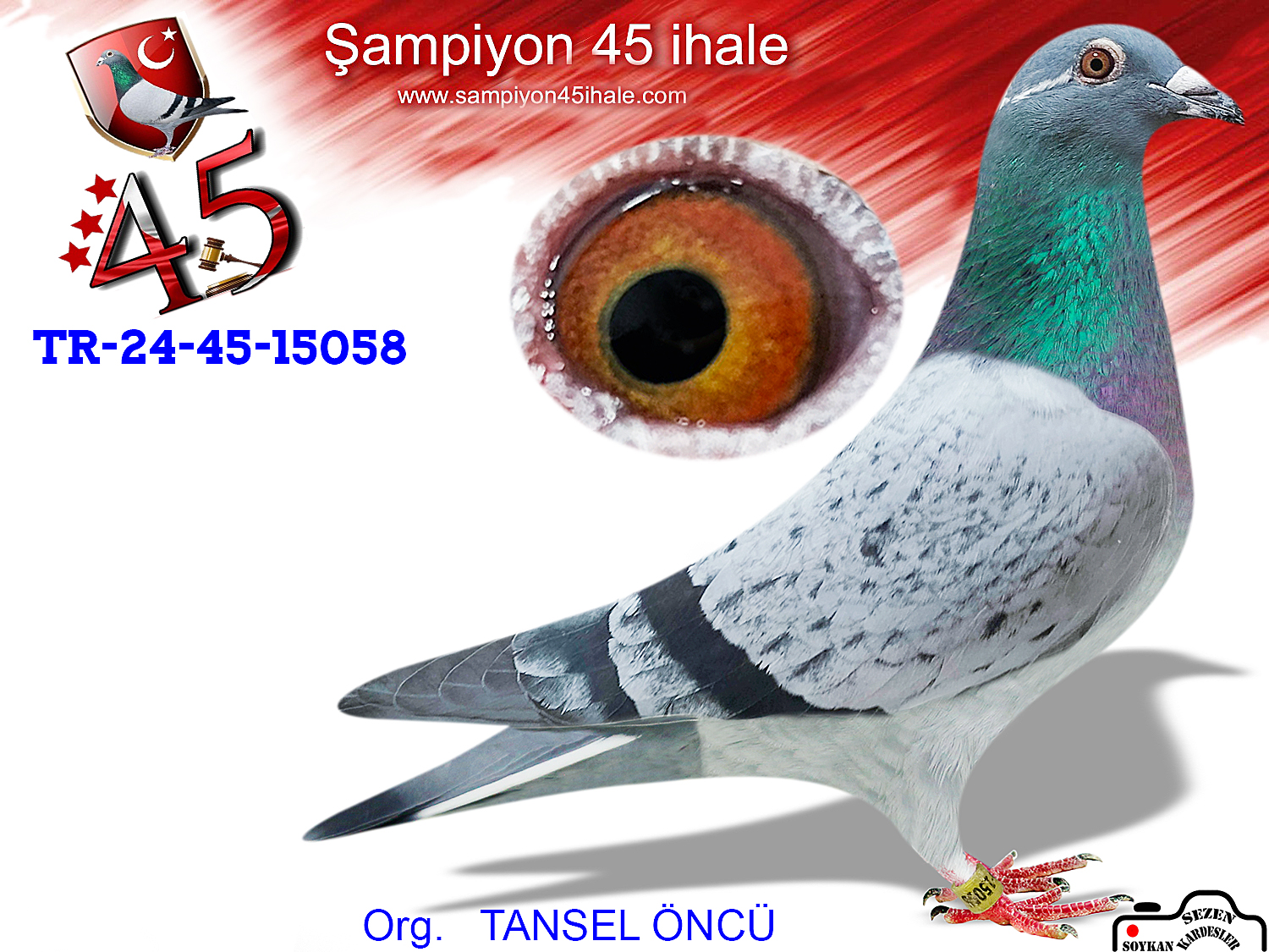 TR-24-45-15058 DİŞİ