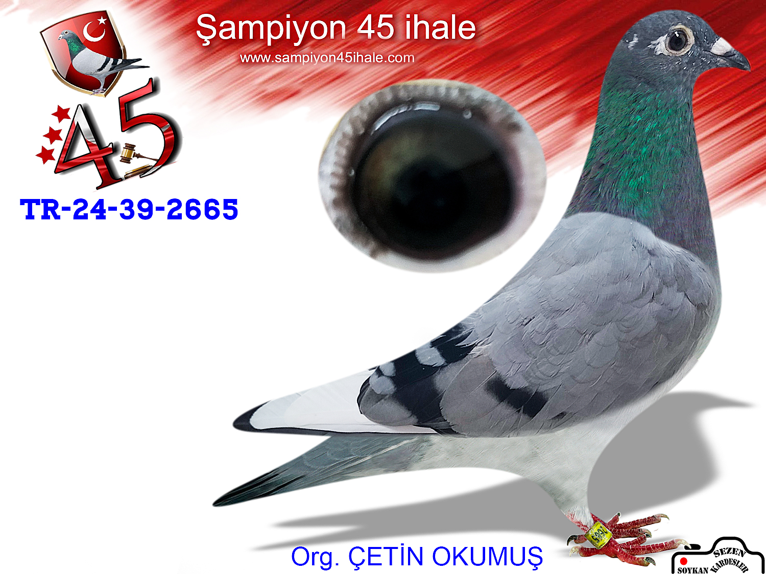 TR-24-39-2665 DİŞİ