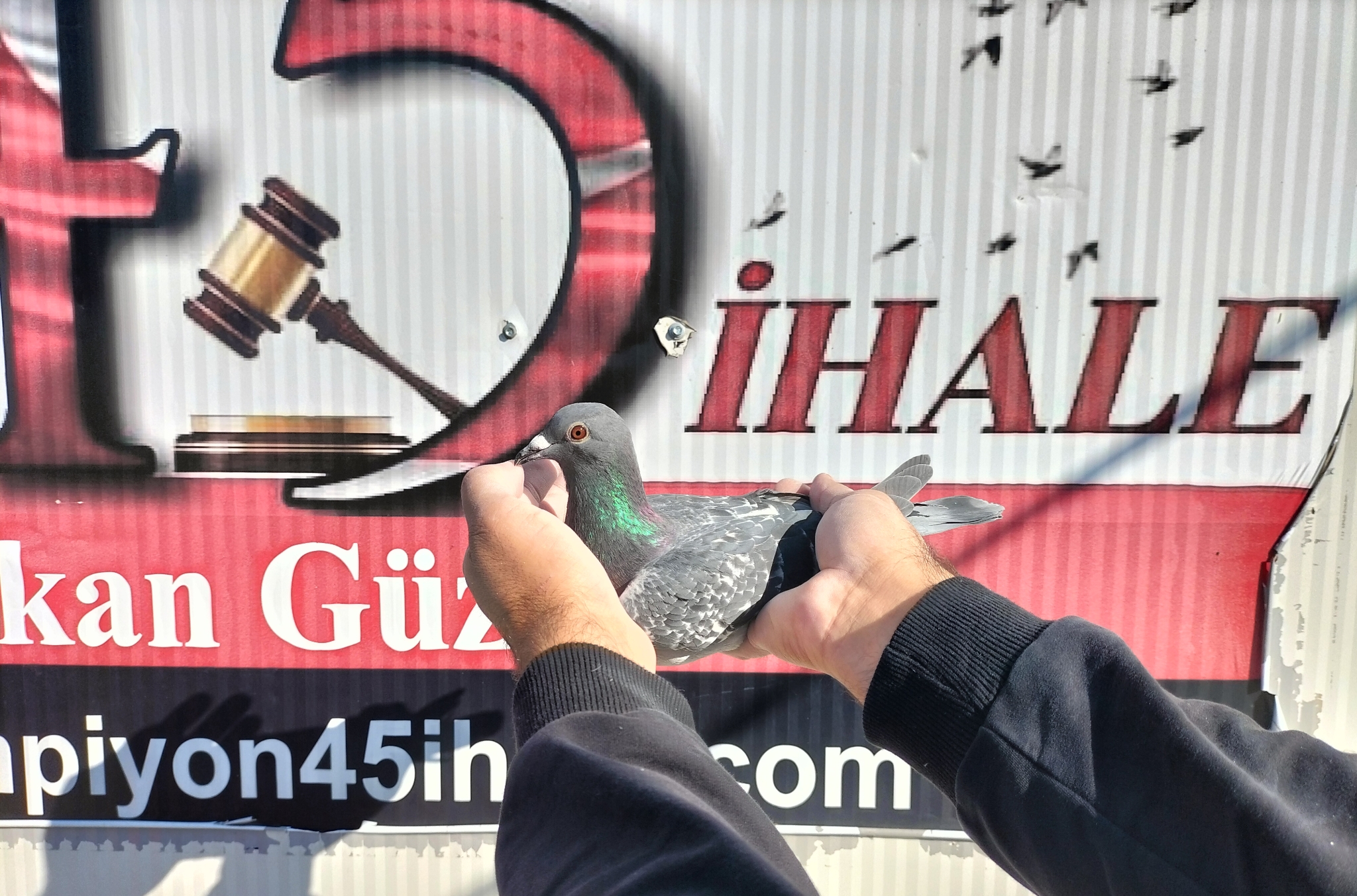 TR-25-63-08666 ORG MUSTAFA AYKURT