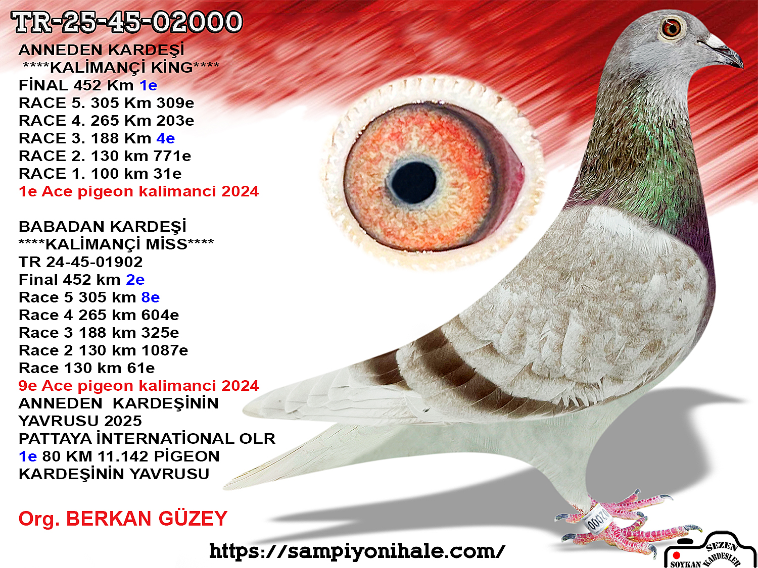 TR-25-45-02000 ANNEDEN KARDEŞİ KALİMANÇİ KİNG 