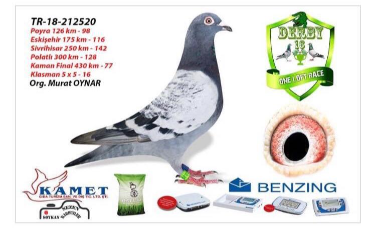 TR-18-212520 DERBY 16 ACE KLASMAN 5 X 5 16 MURAT OYNAR
