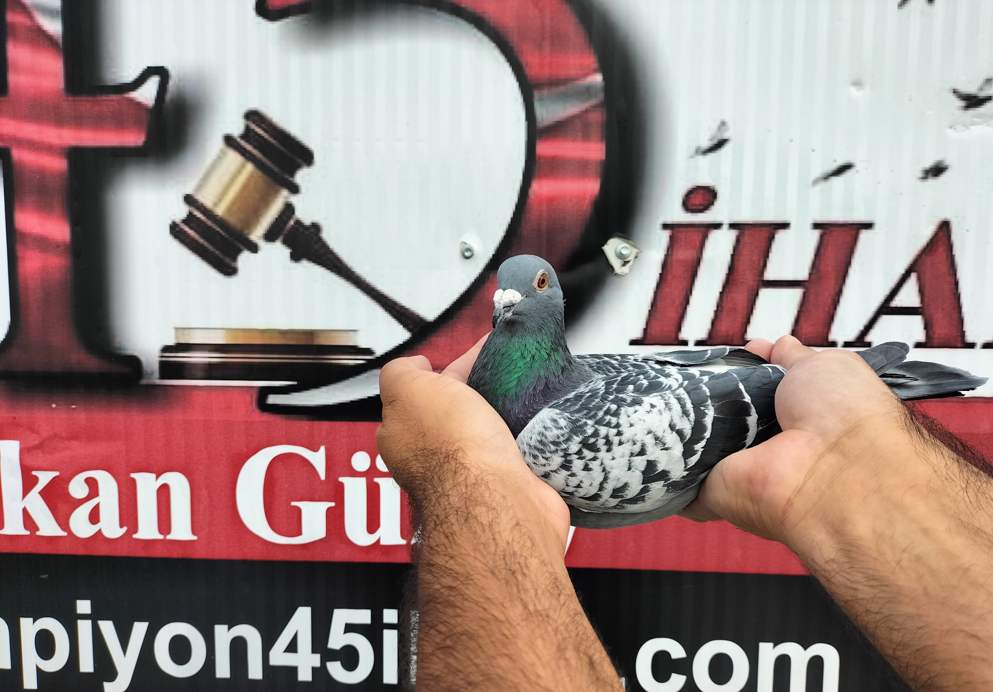 TR-25-16-20328 ELEKTRO GENERAL