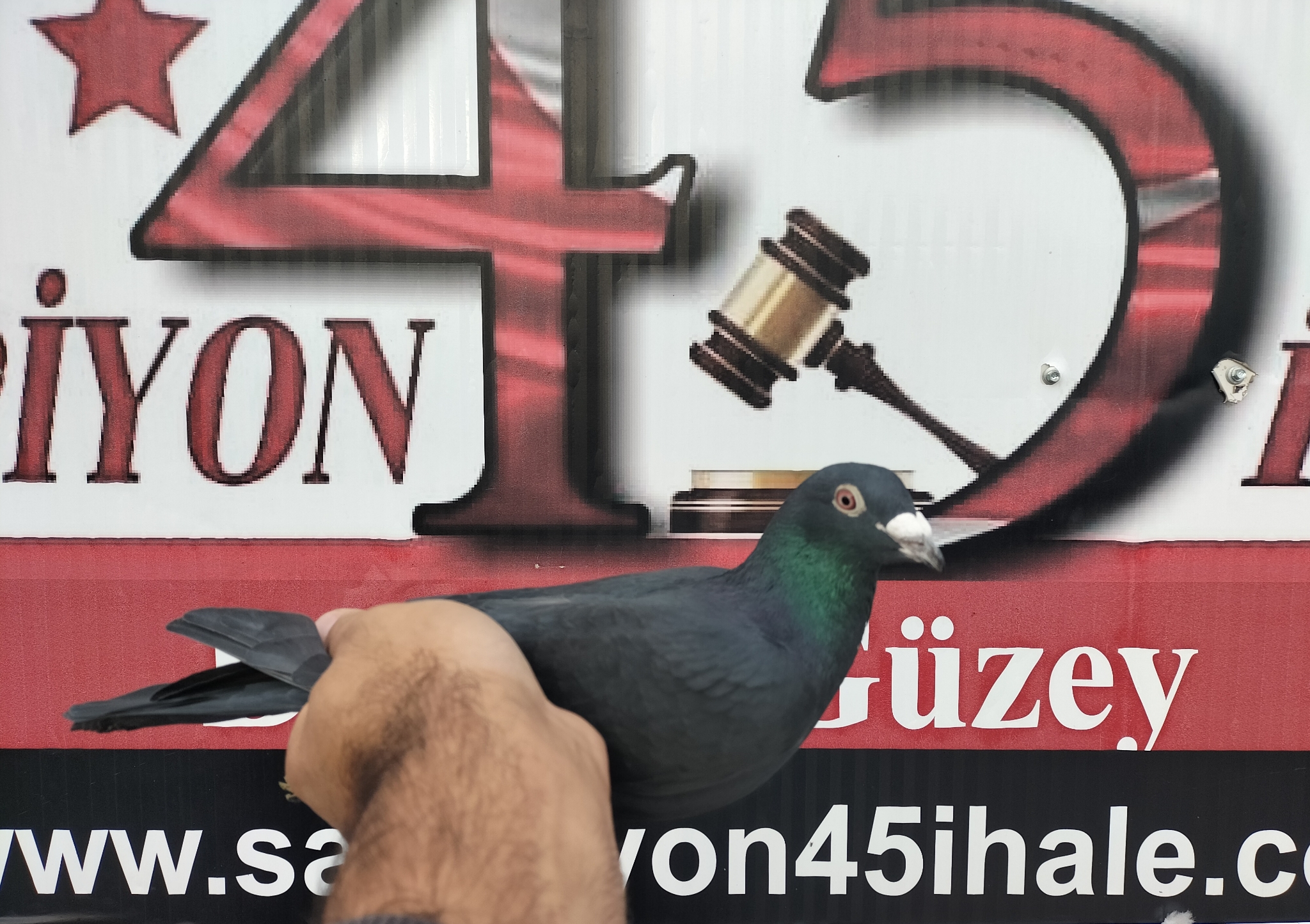 TR25-45-15042 ORG YUSUF EGRİBOYUN 