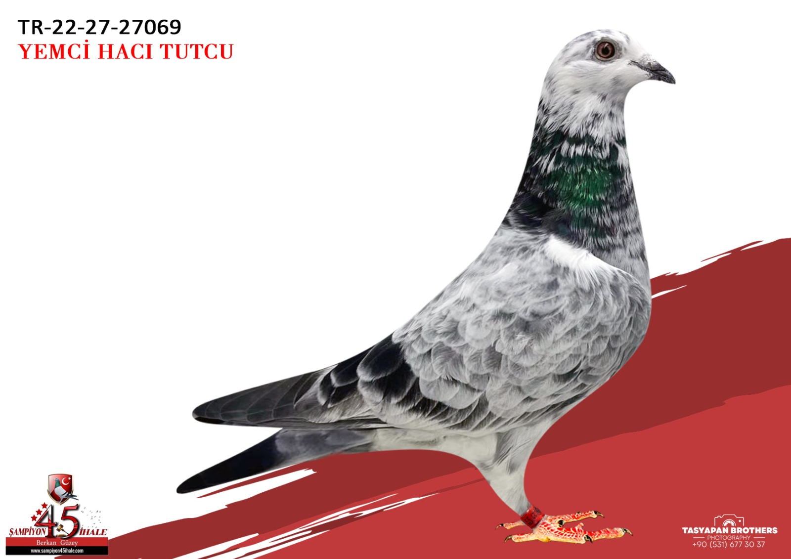 TR-22-27-27069 VAN LOON EIJERKAMP AFRİKAN 400 