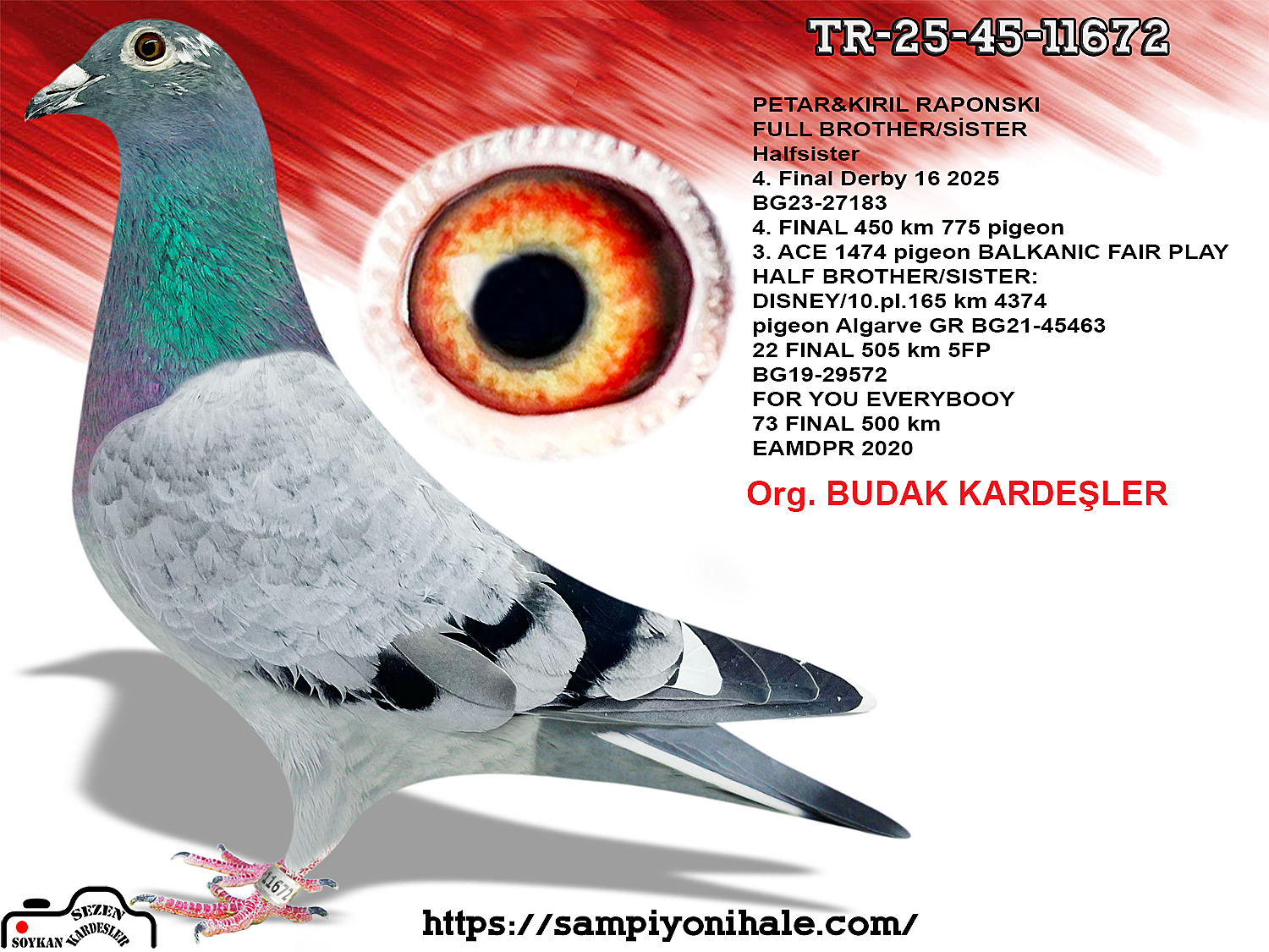 TR-25-45-11672 PETAR&KIRIL RAPONSK BLACK NIGHT 