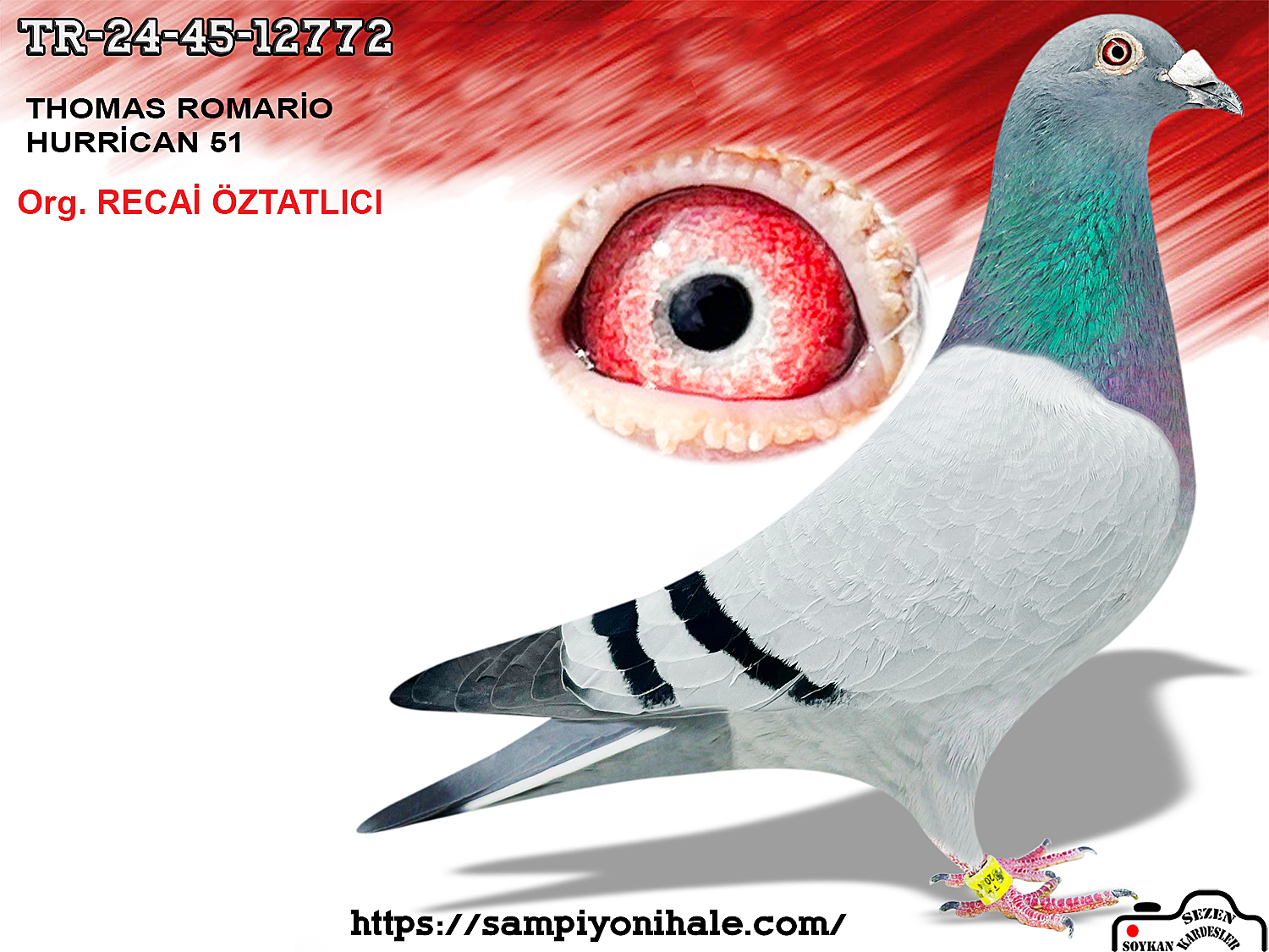 TR-25-45-12772 THOMAS ROMARİO HURRİCAN 51