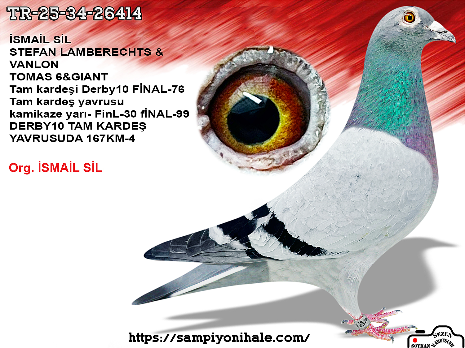 TR-25-34-26414 STEFAN LAMBERECHTS VAN LOON 