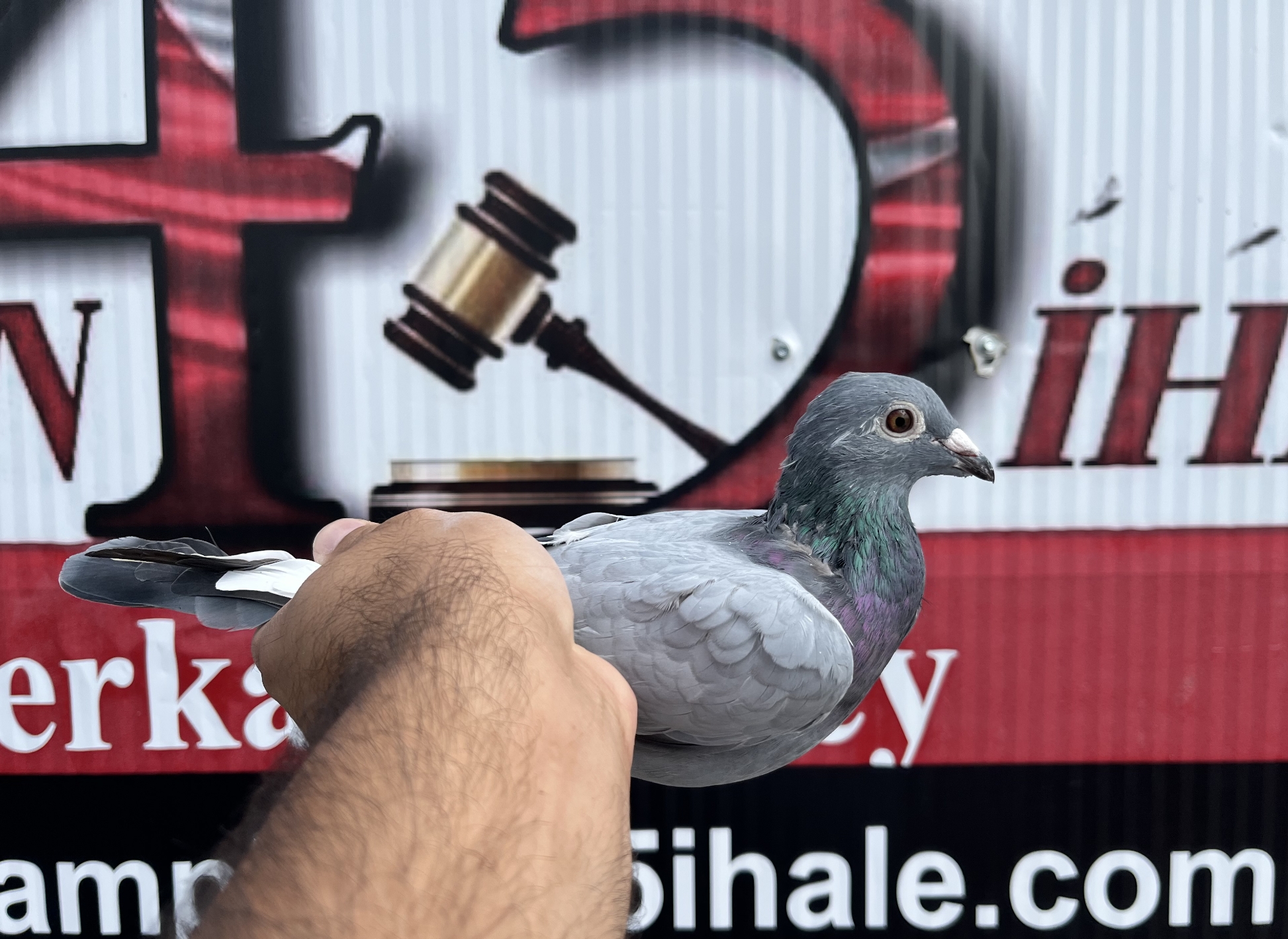 TR-24-45-11971 ORG YILMAZ KARDEŞLER MARATON SOYLU