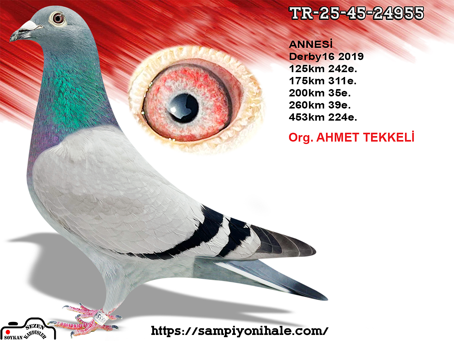 TR-25-45-24955 A.U.H KLAAS HARDY KRÜGER 