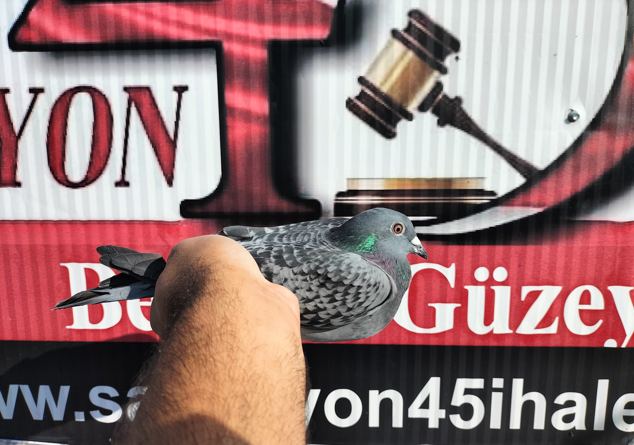 TR-24-35-01060 VAN FEN BULCK KİTTEL 