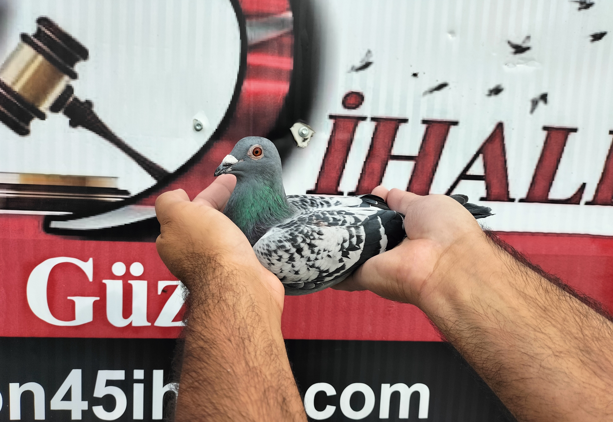 TR-25-16-20366 GENERAL ELEKTRO