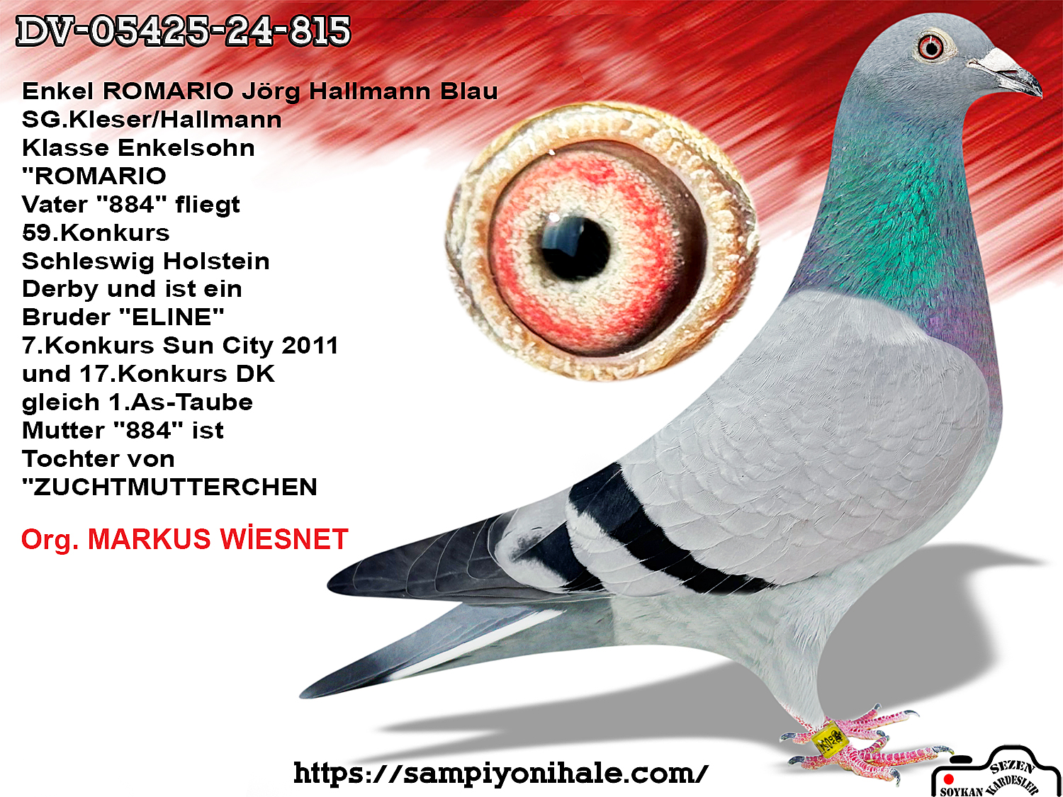 DV-05425-24-815 ROMARİO JÖRG HALLMANN 