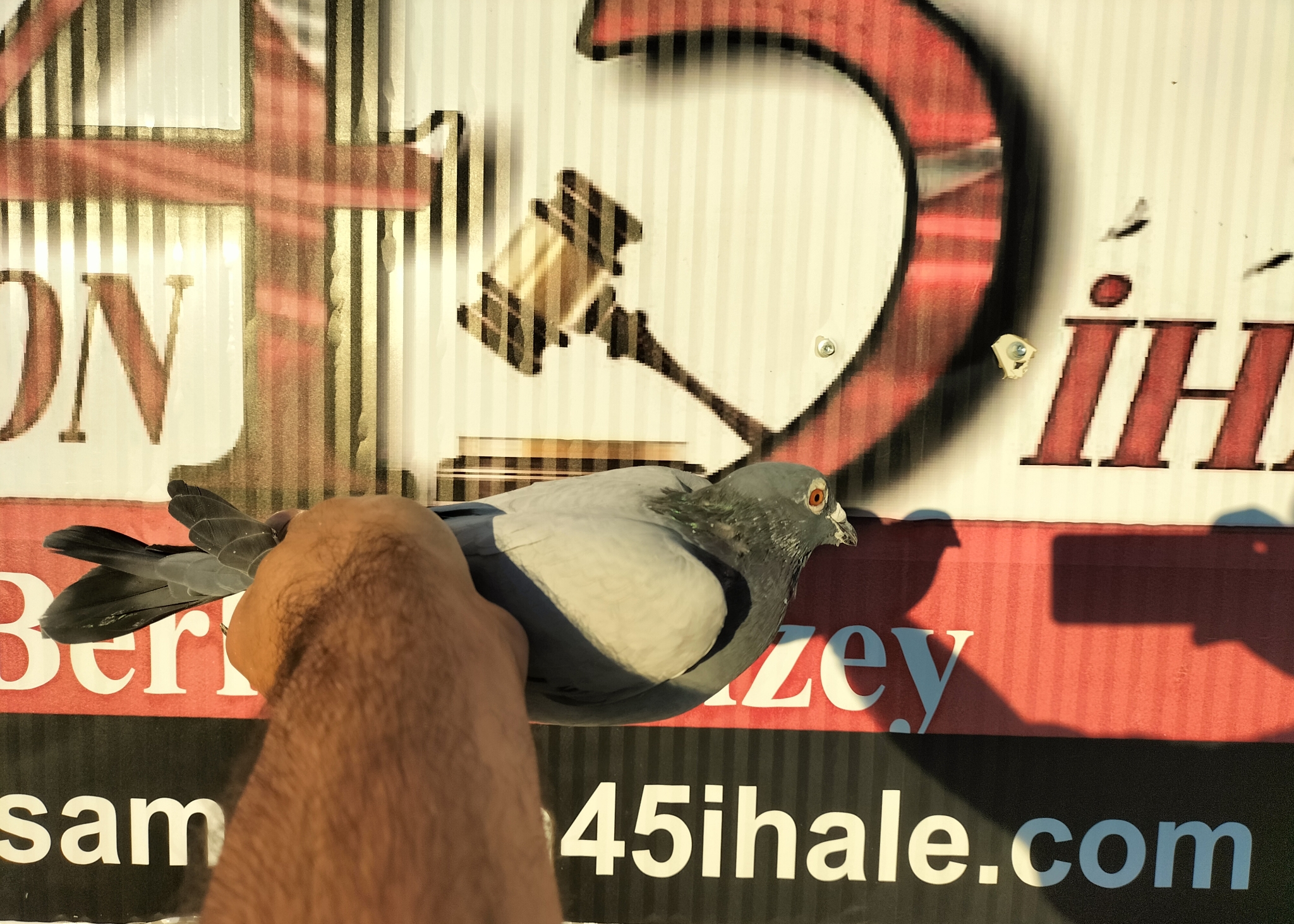 TR-24-10-4099 ORG NECMİ ÇAKAR 