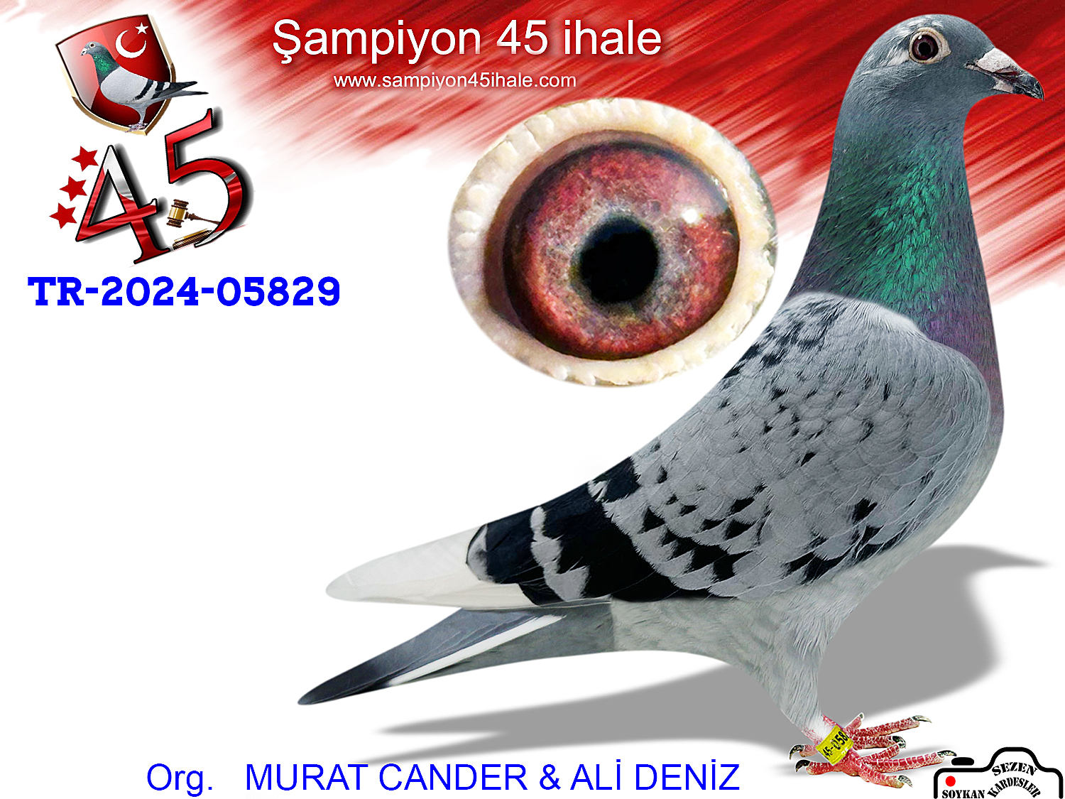 TR-24-45-05829 DİŞİ