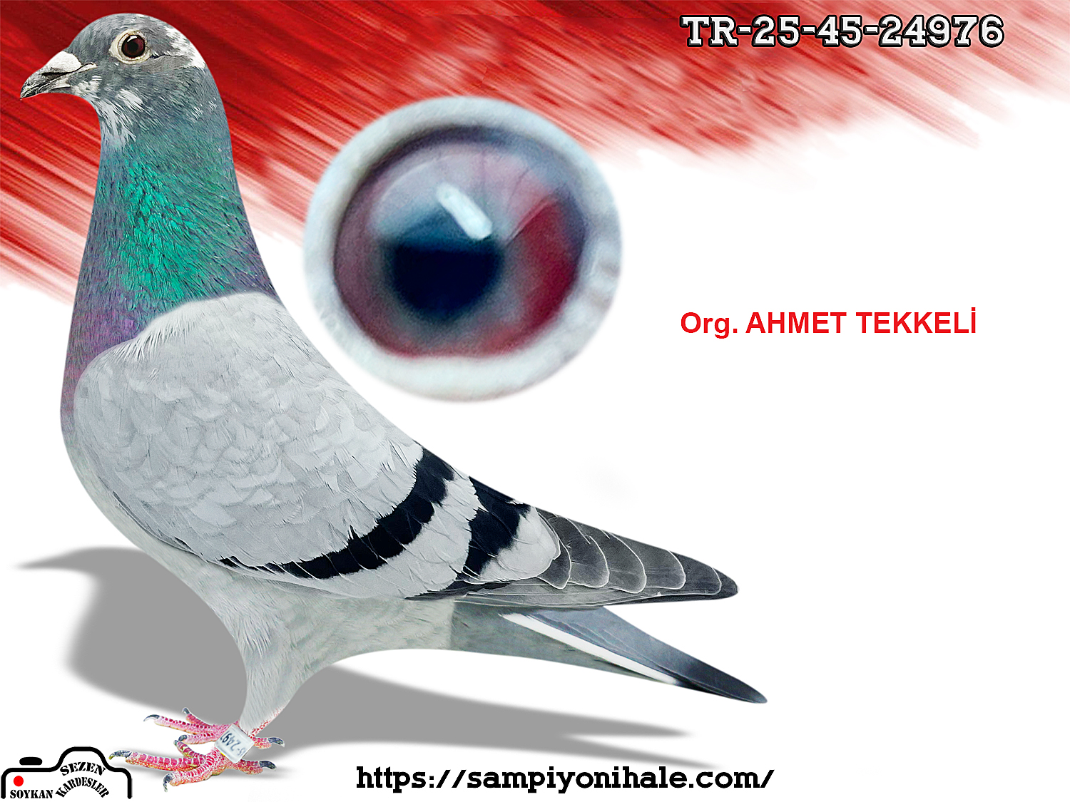 TR-25-45-24976 ORG AHMET TEKKELİ 